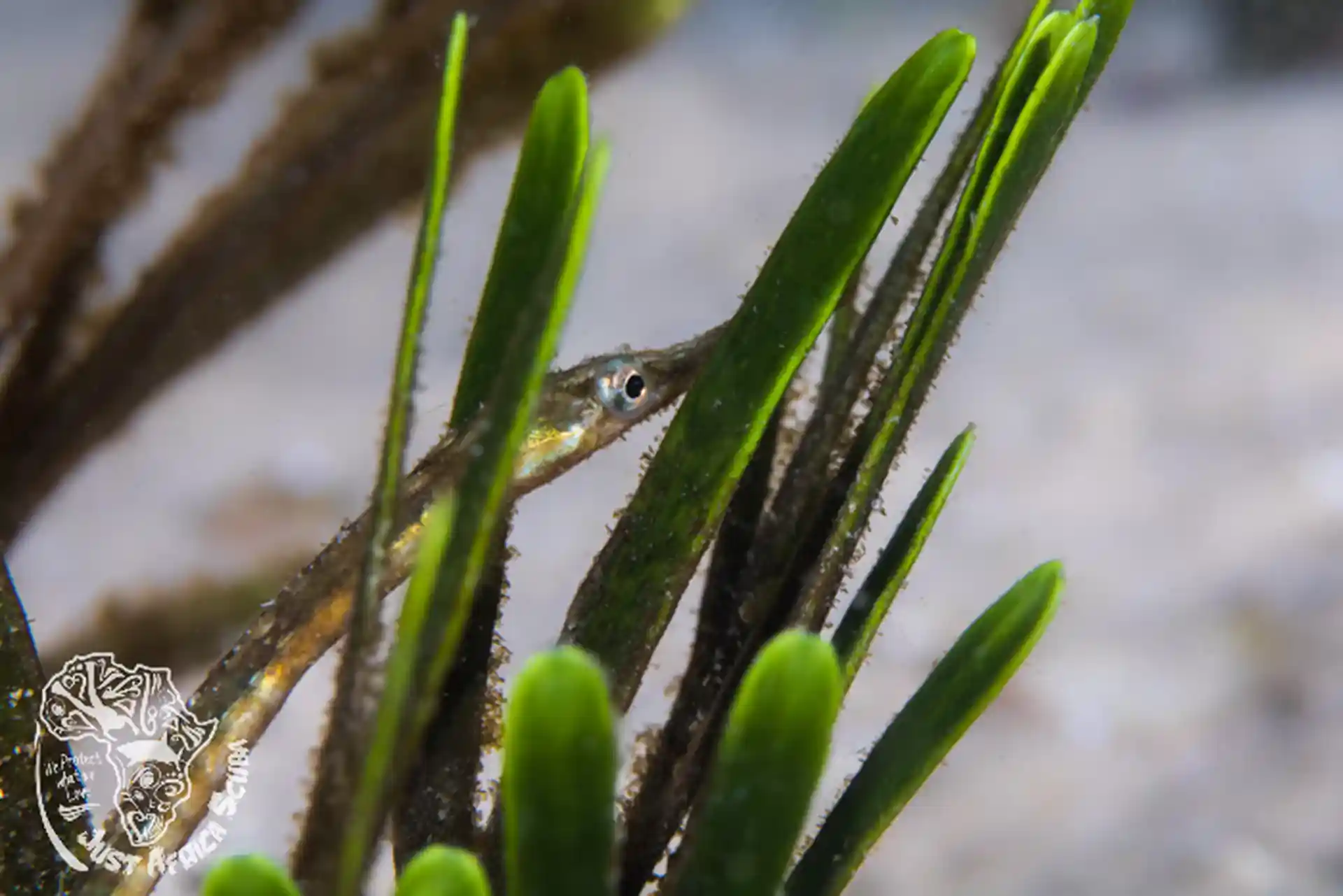 다이빙 포인트 사진