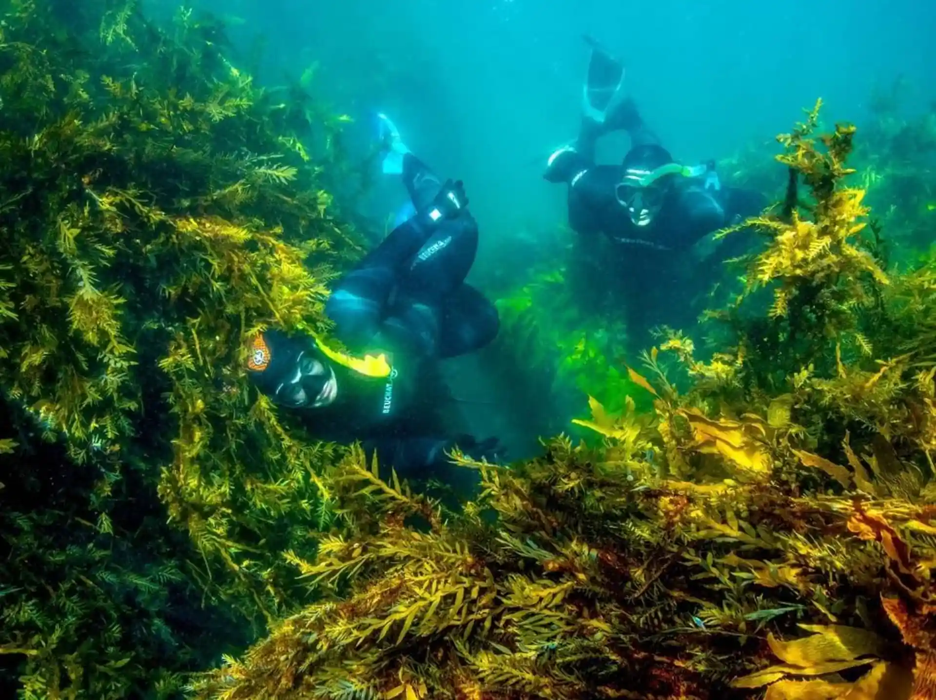 Dive shop photo