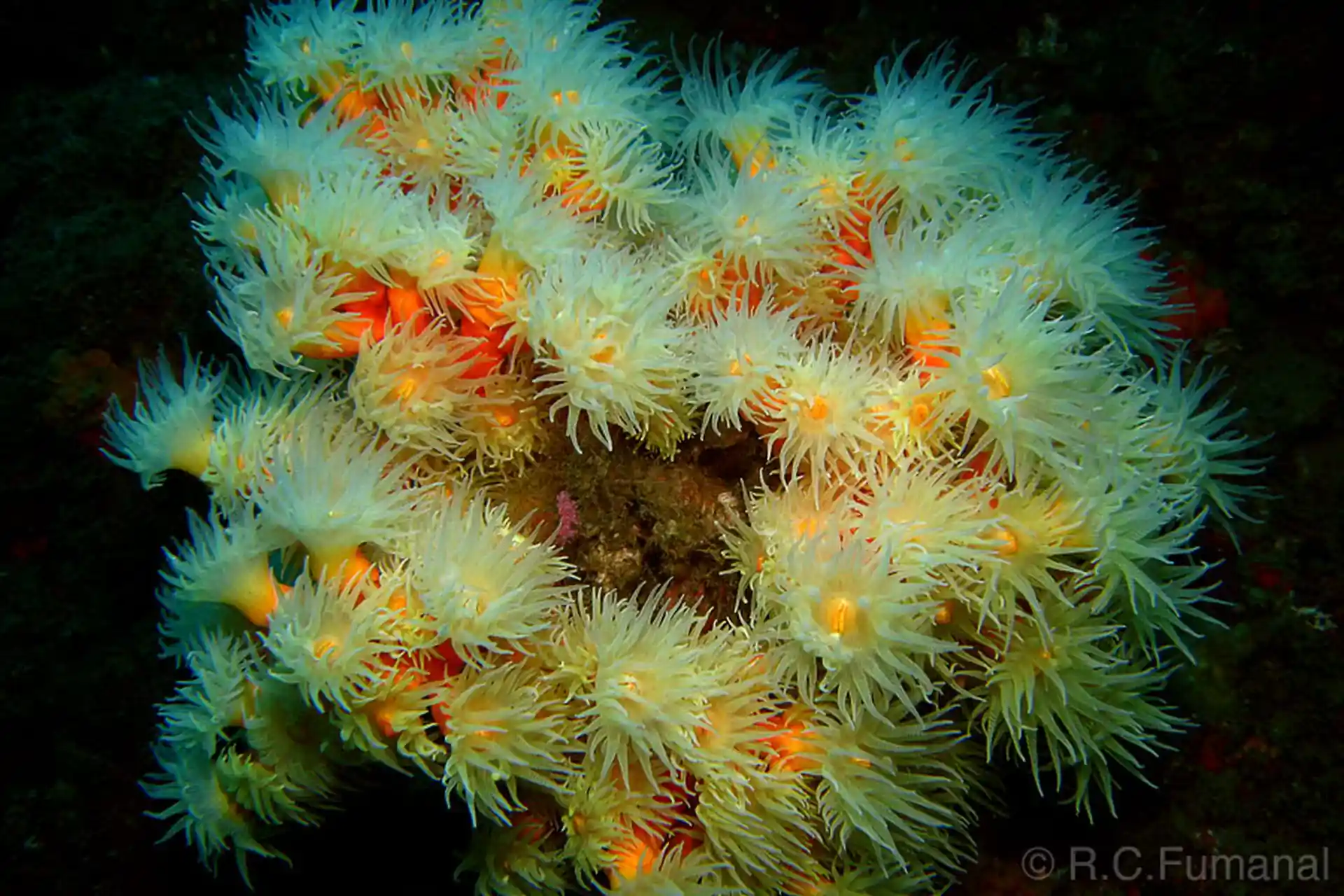 Dive site photo