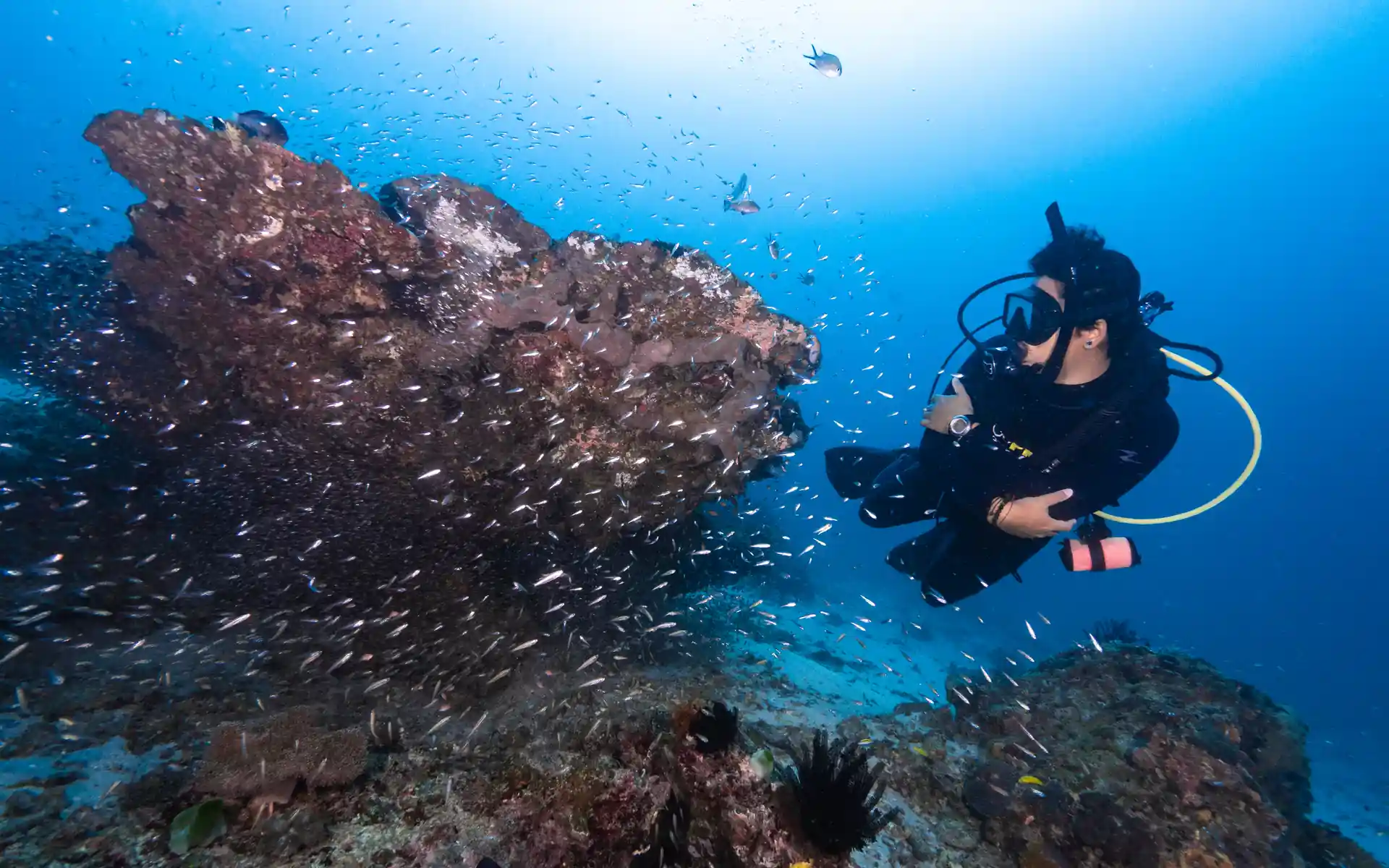 Photo de l'activité