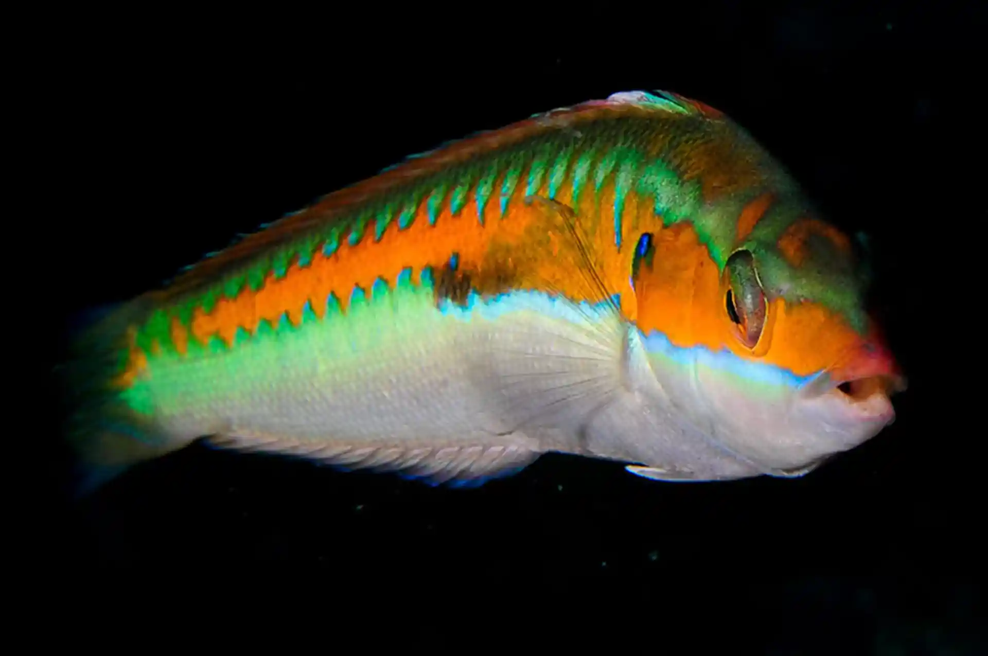 다이빙 포인트 사진