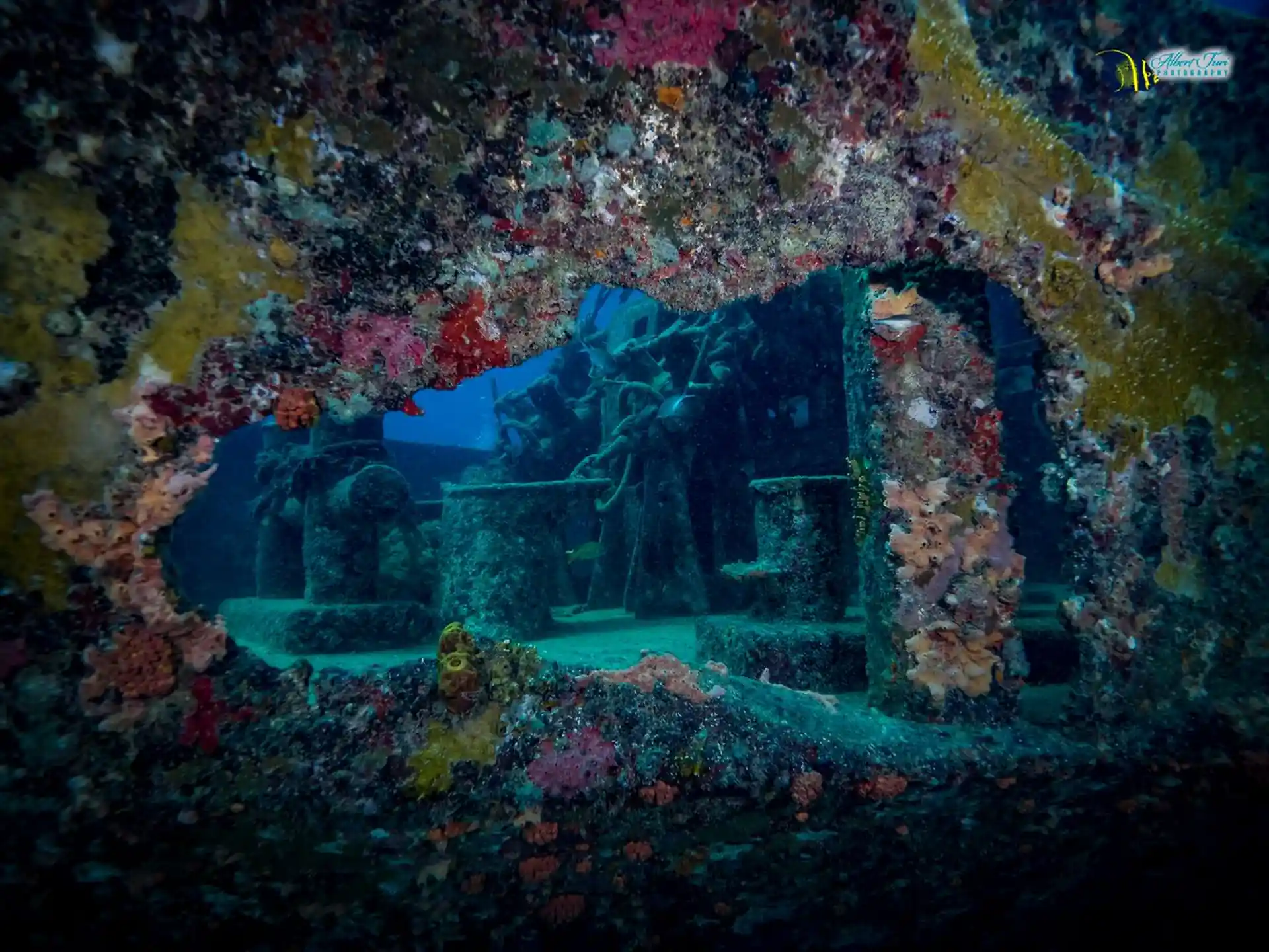 Foto des Tauchplatzes