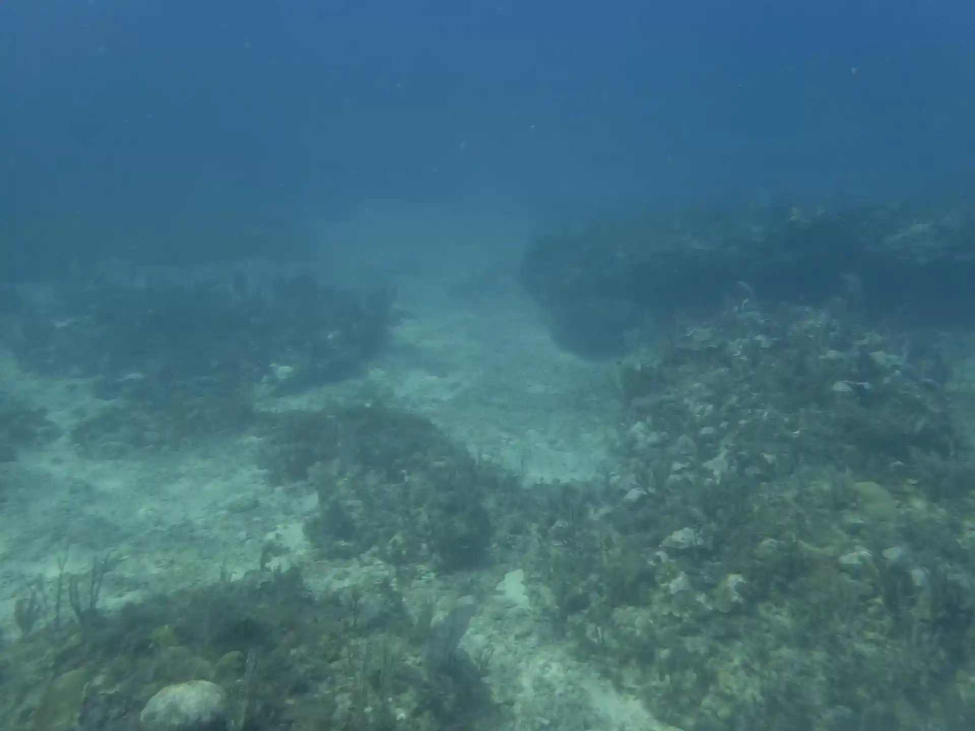 Dive site photo