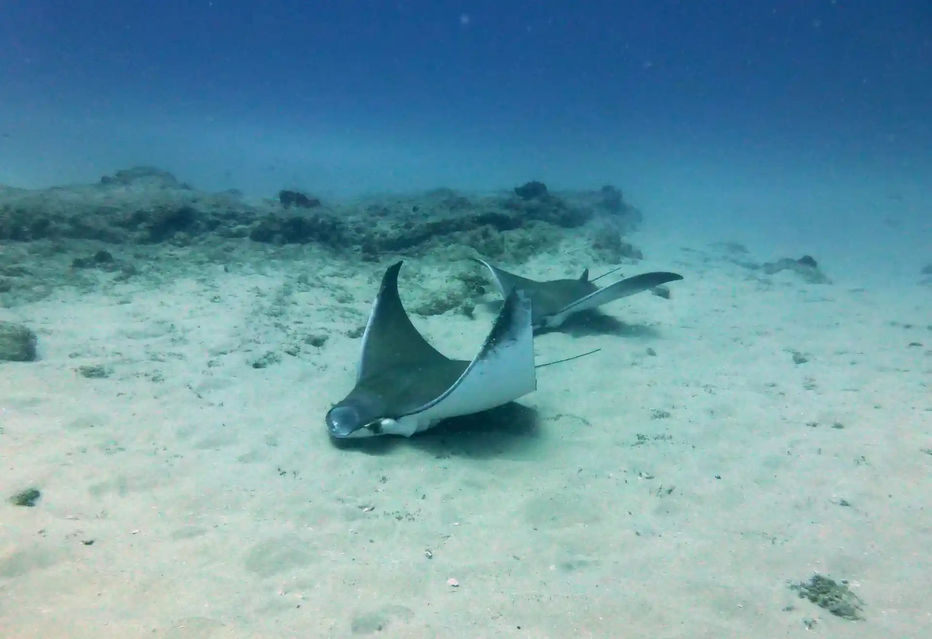 Dive site photo