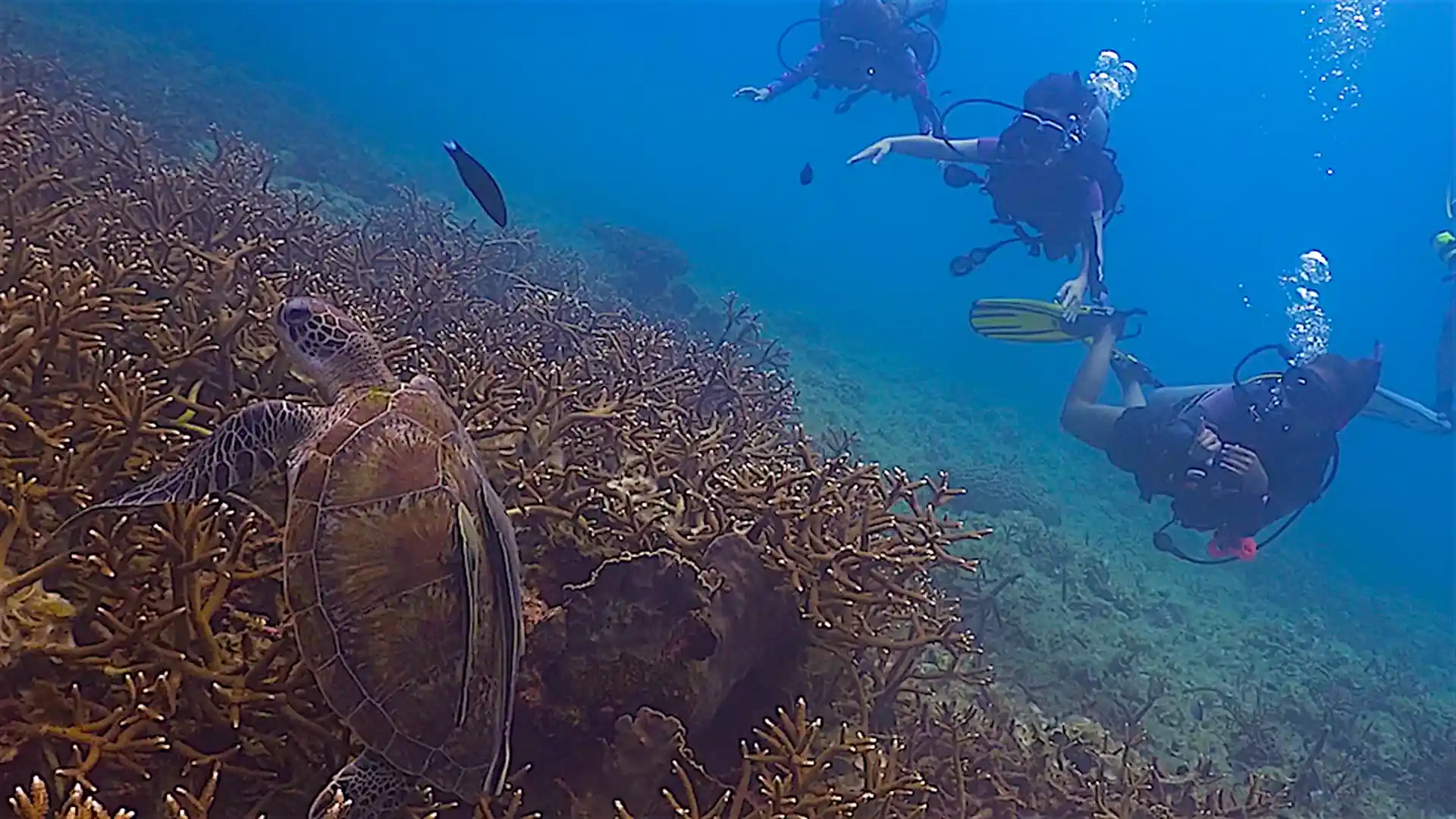Dive site photo
