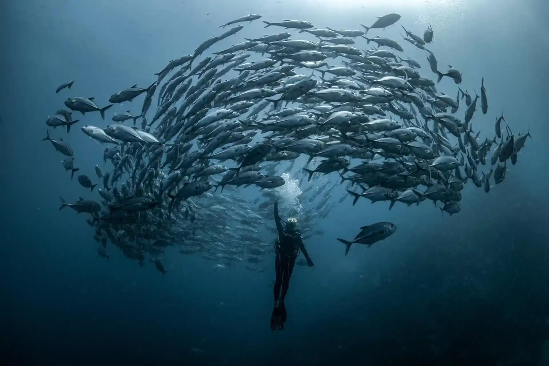 Dive shop photo