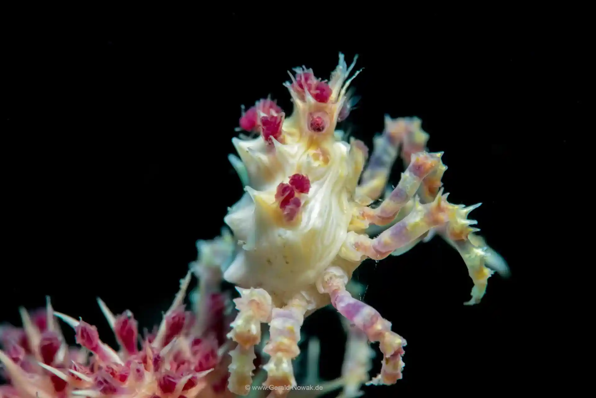 Dive site photo