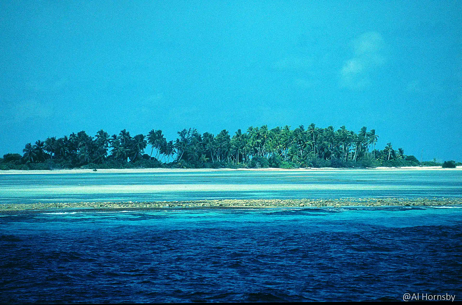 Dive shop photo