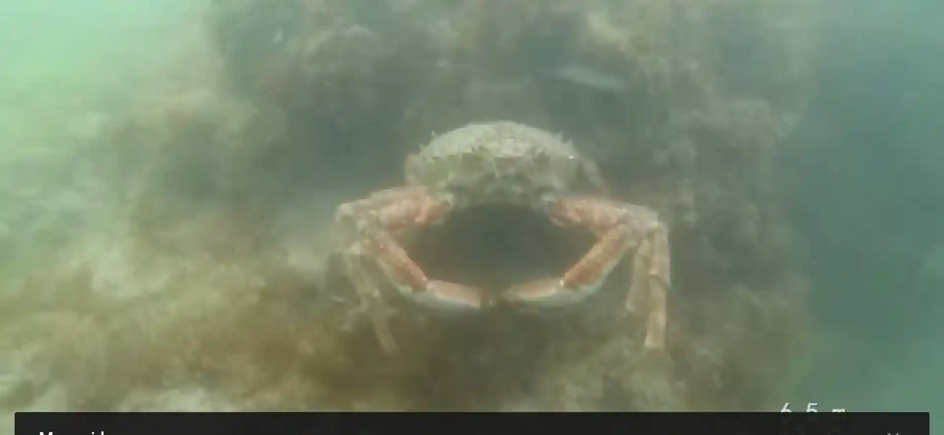 다이빙 포인트 사진