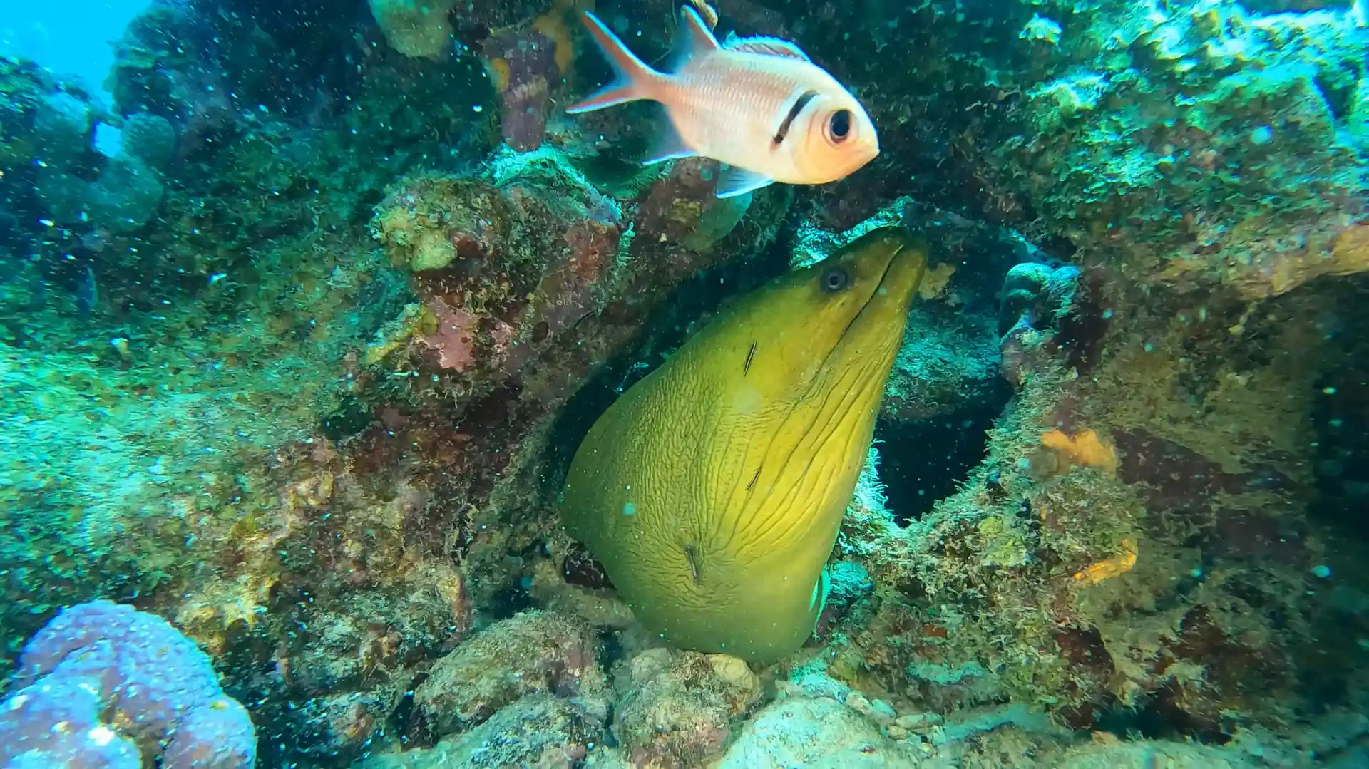 Dive site photo