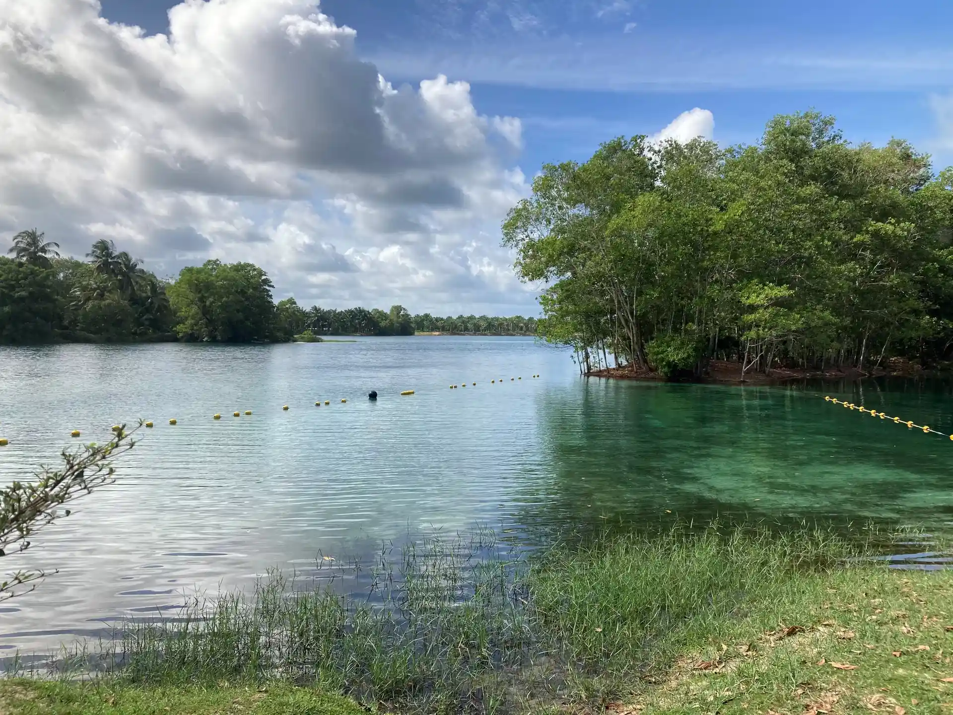 Zwei Freiwassertauchgänge entweder am örtlichen See oder an unserem Hausriff