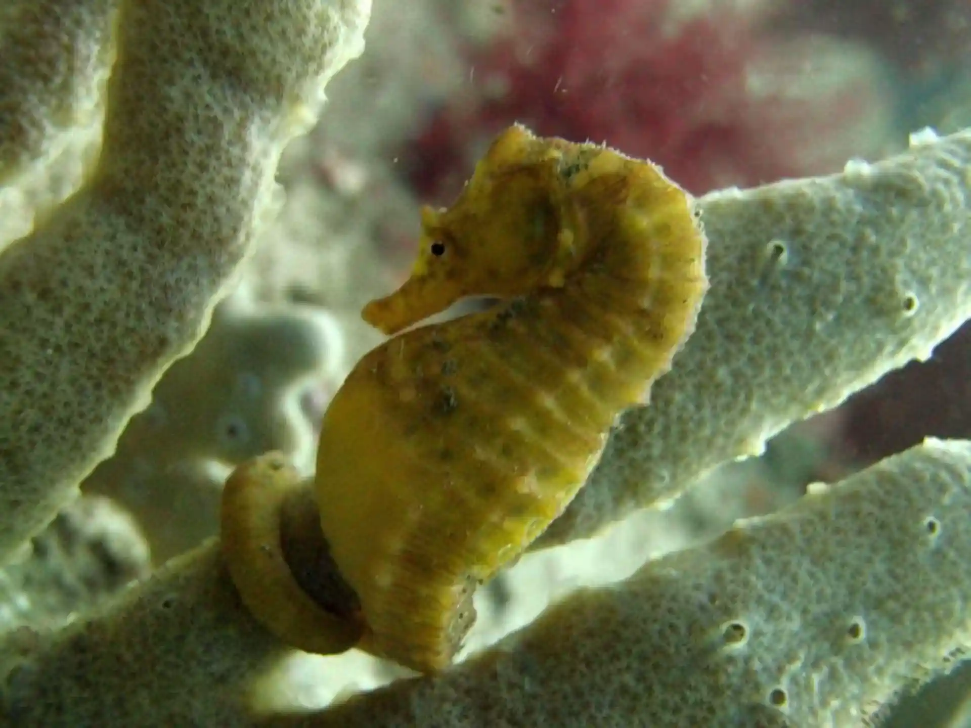 Dive site photo