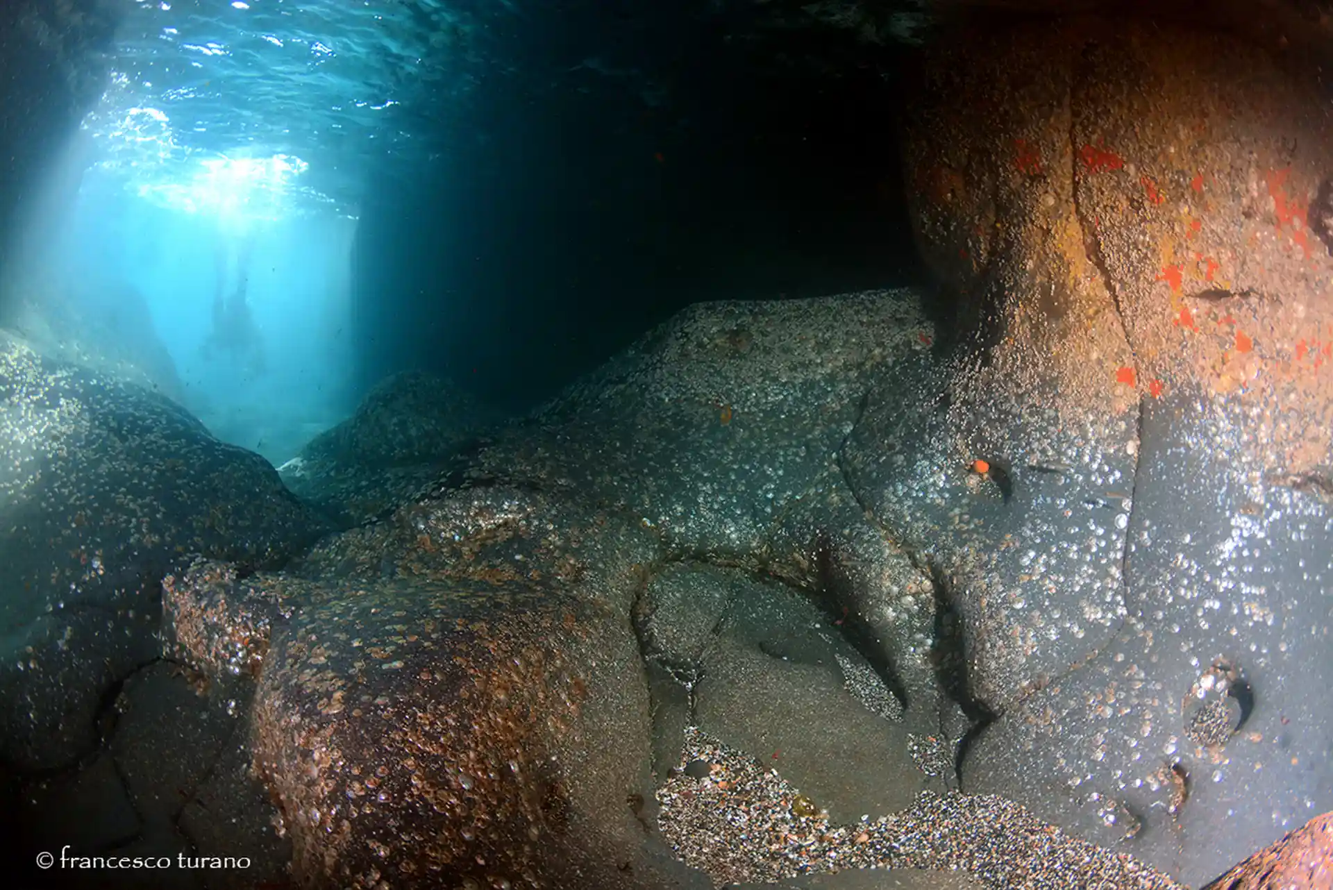 ダイビングサイトの写真