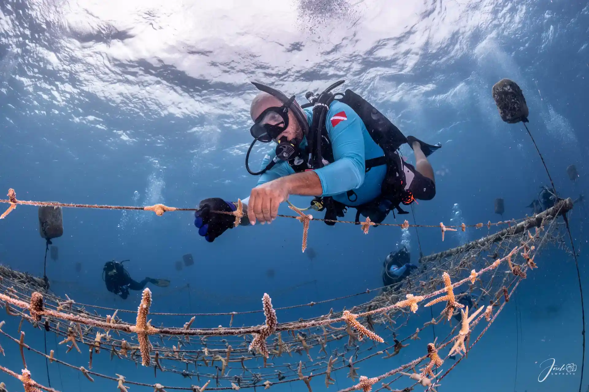 Support coral reef restoration in San Andrés Island and directly assist marine biologists in giving these vital ecosystems a second chance.