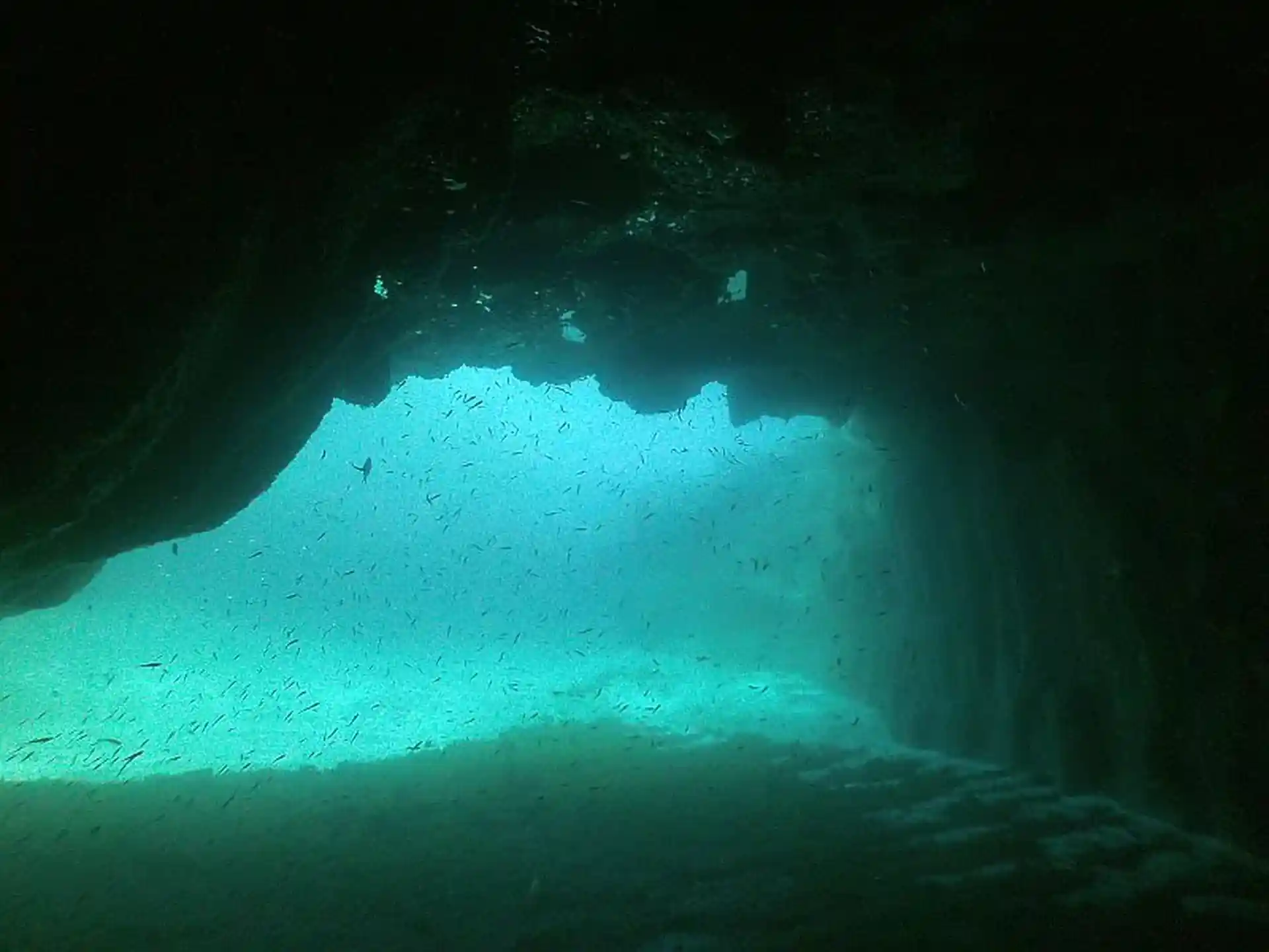 다이빙 포인트 사진