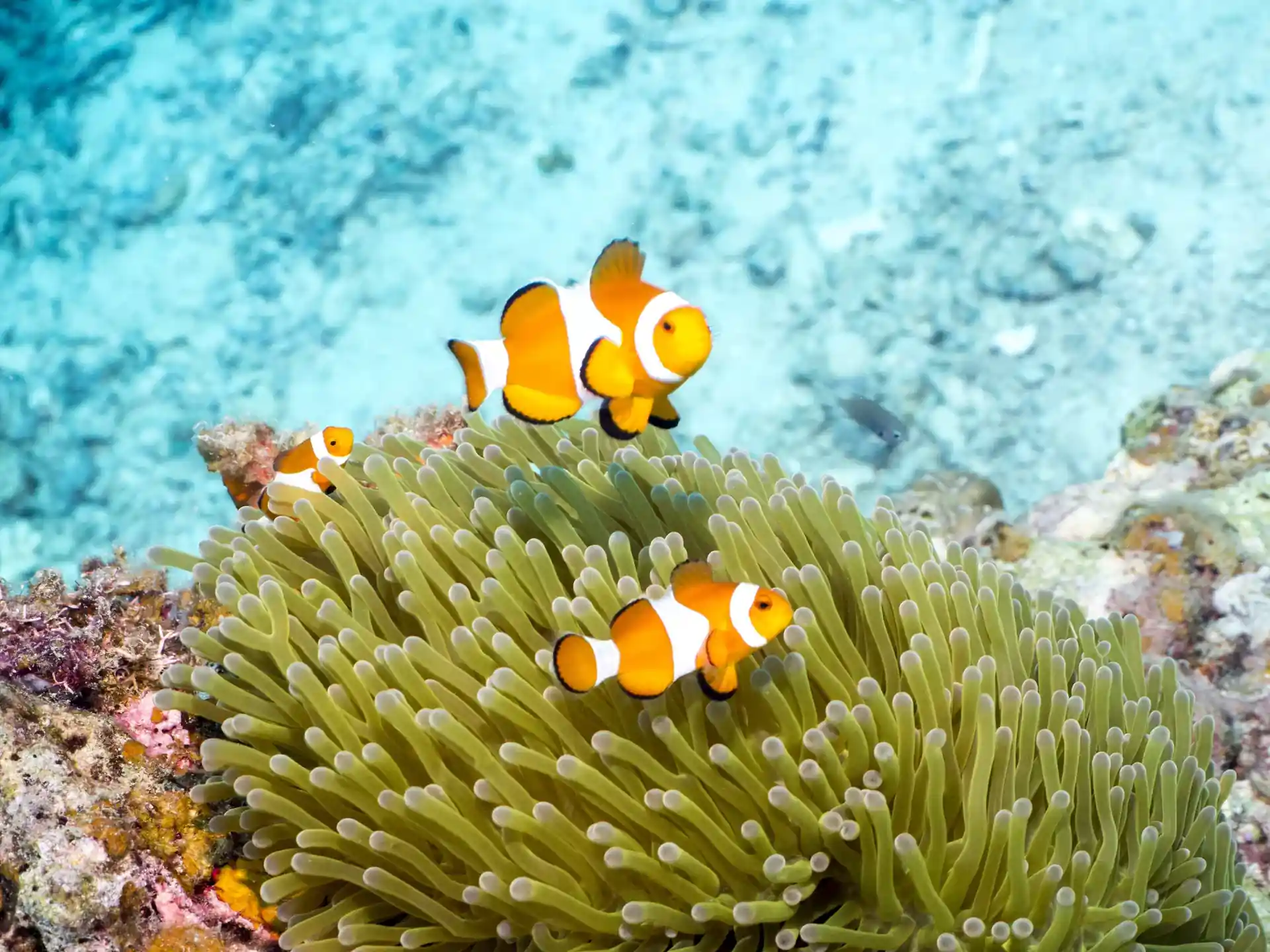 Dive site photo