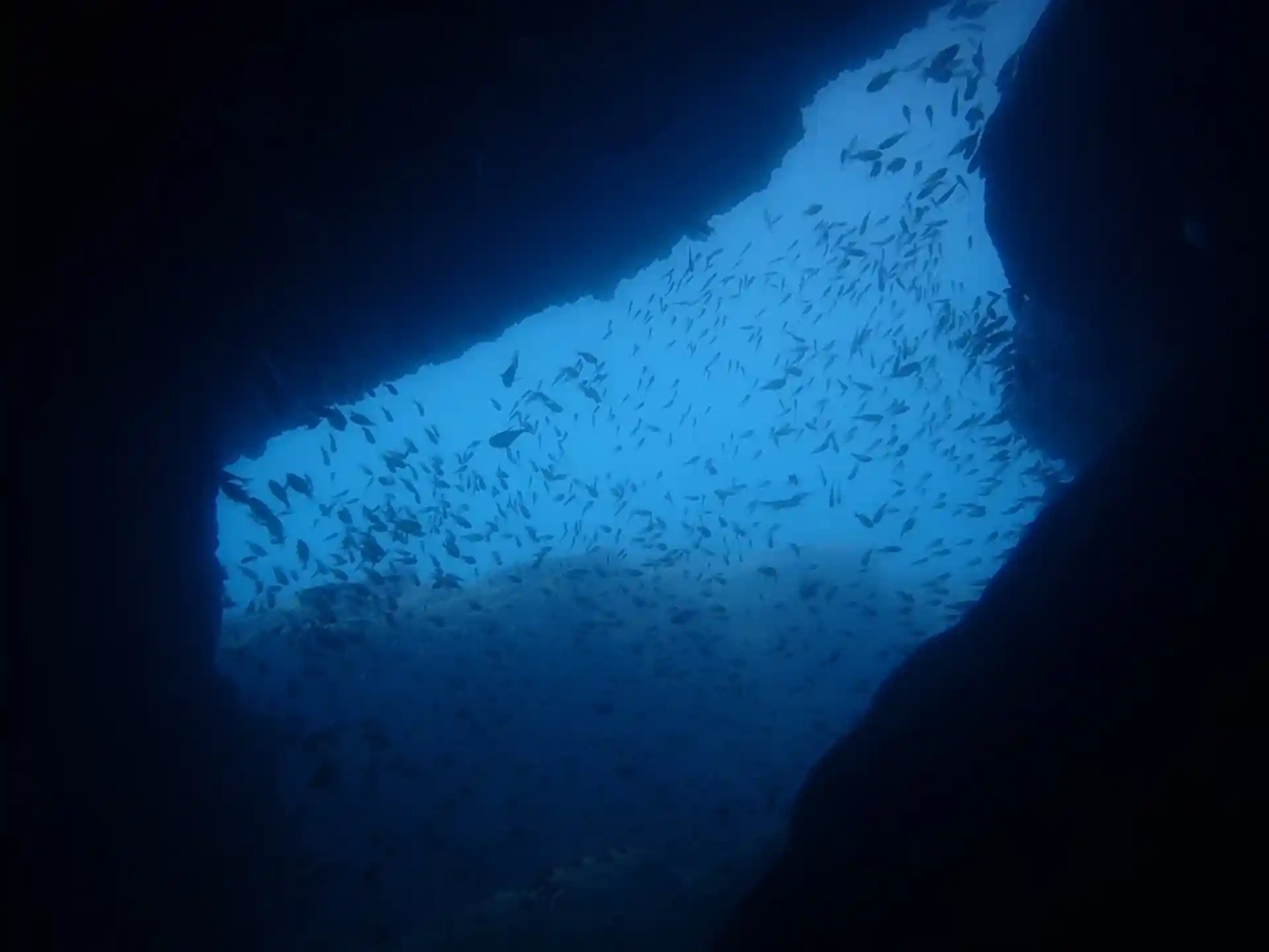 Dive site photo