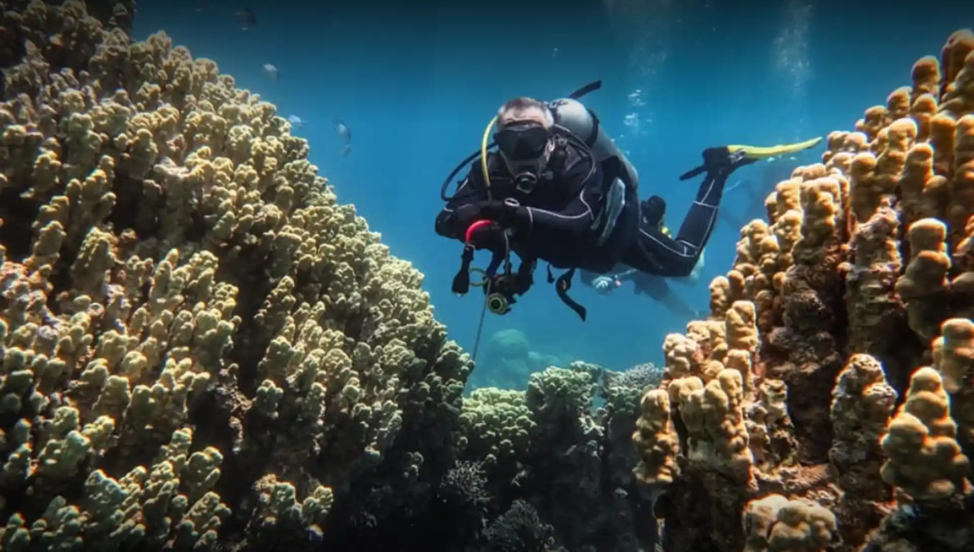 Foto del sitio de buceo