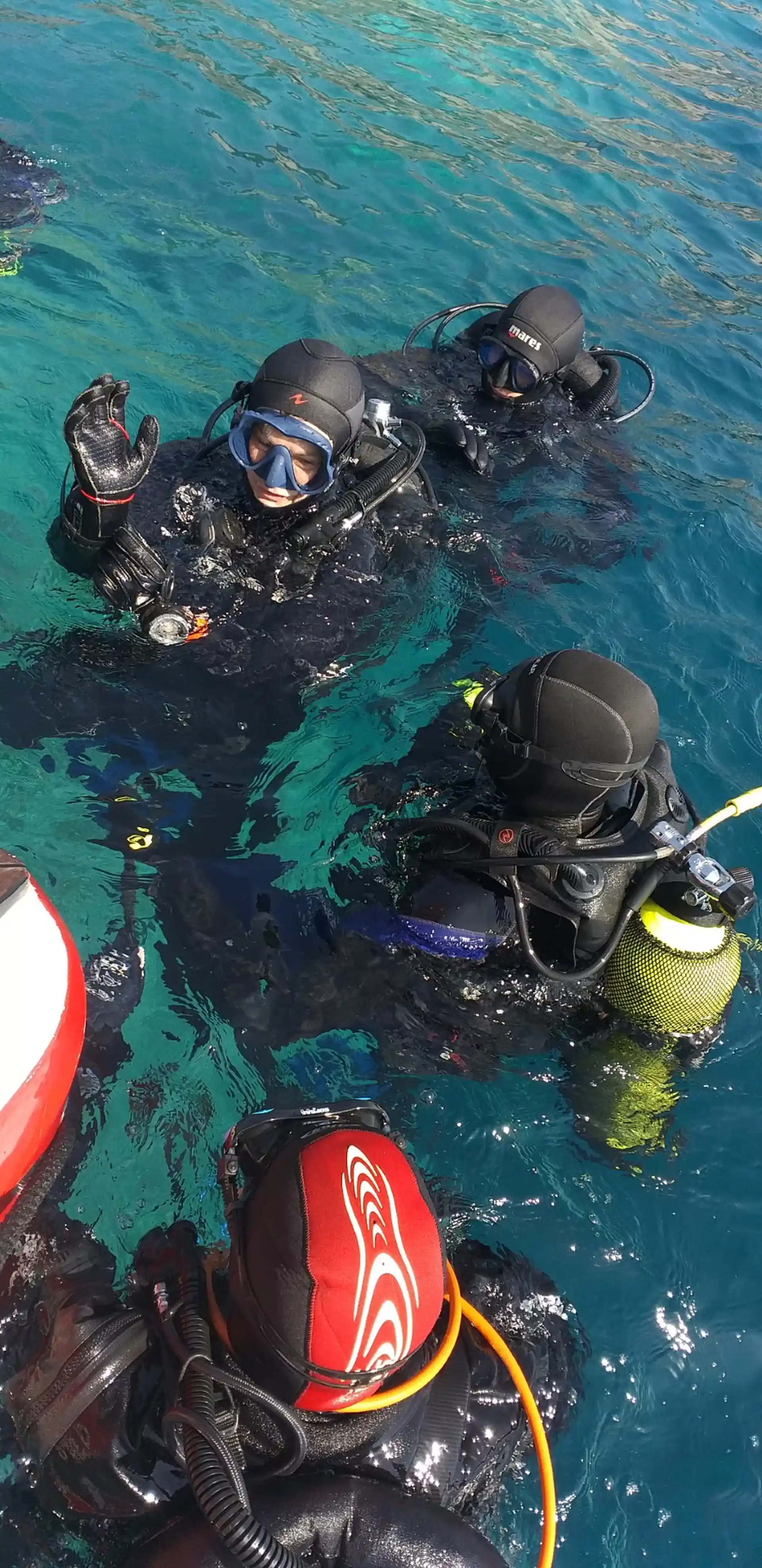 ダイビングサイトの写真