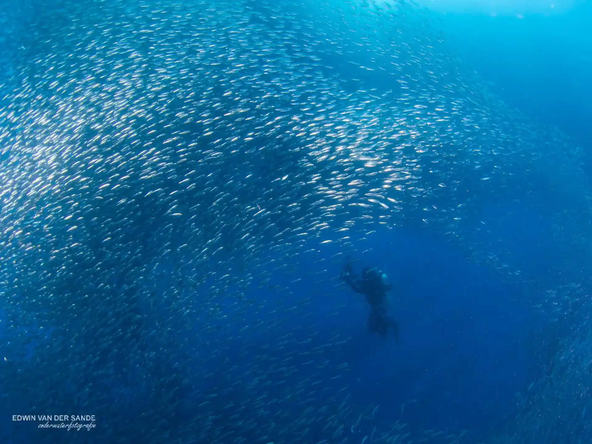 Dive site photo