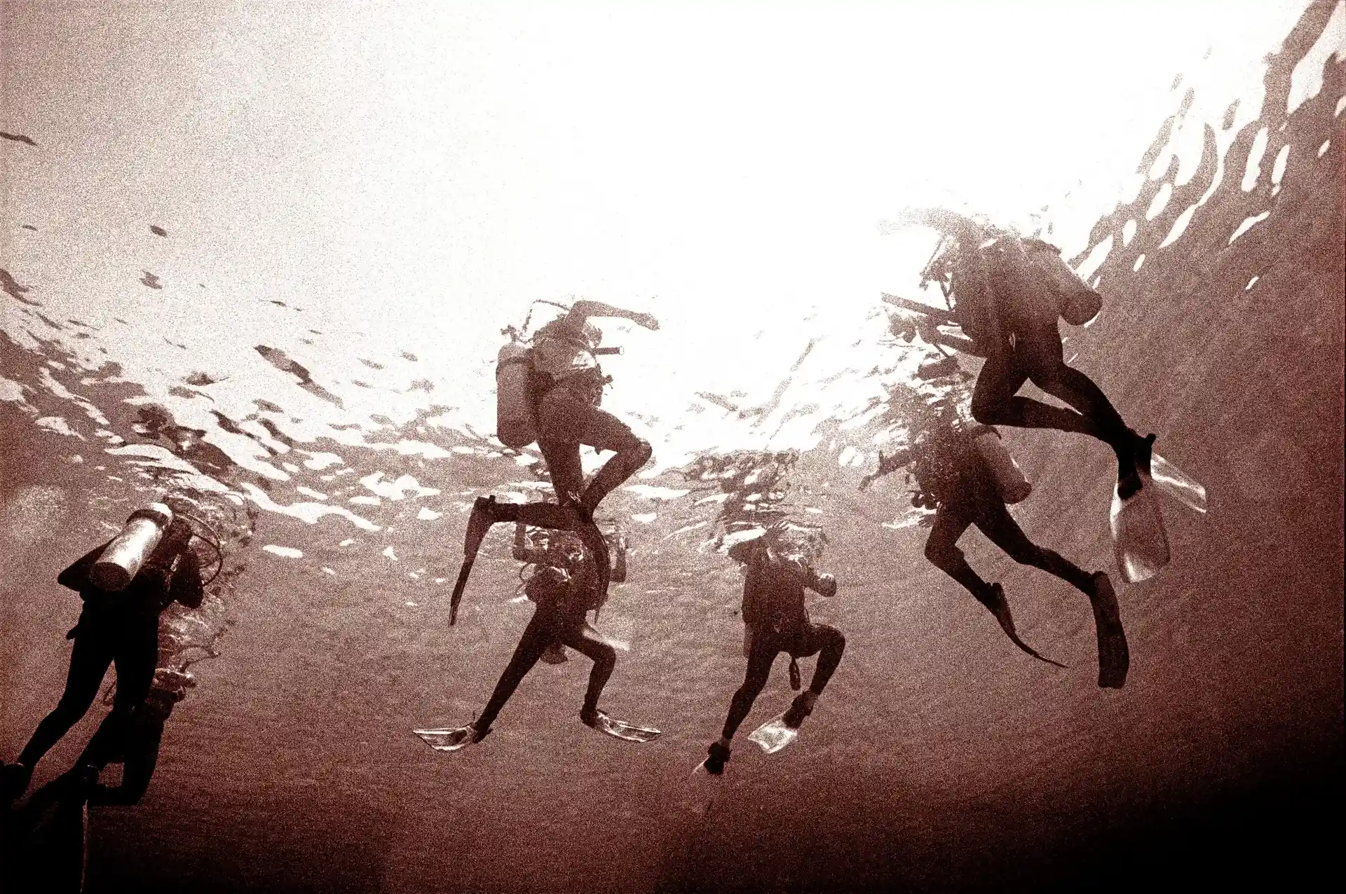 Foto de la tienda de buceo
