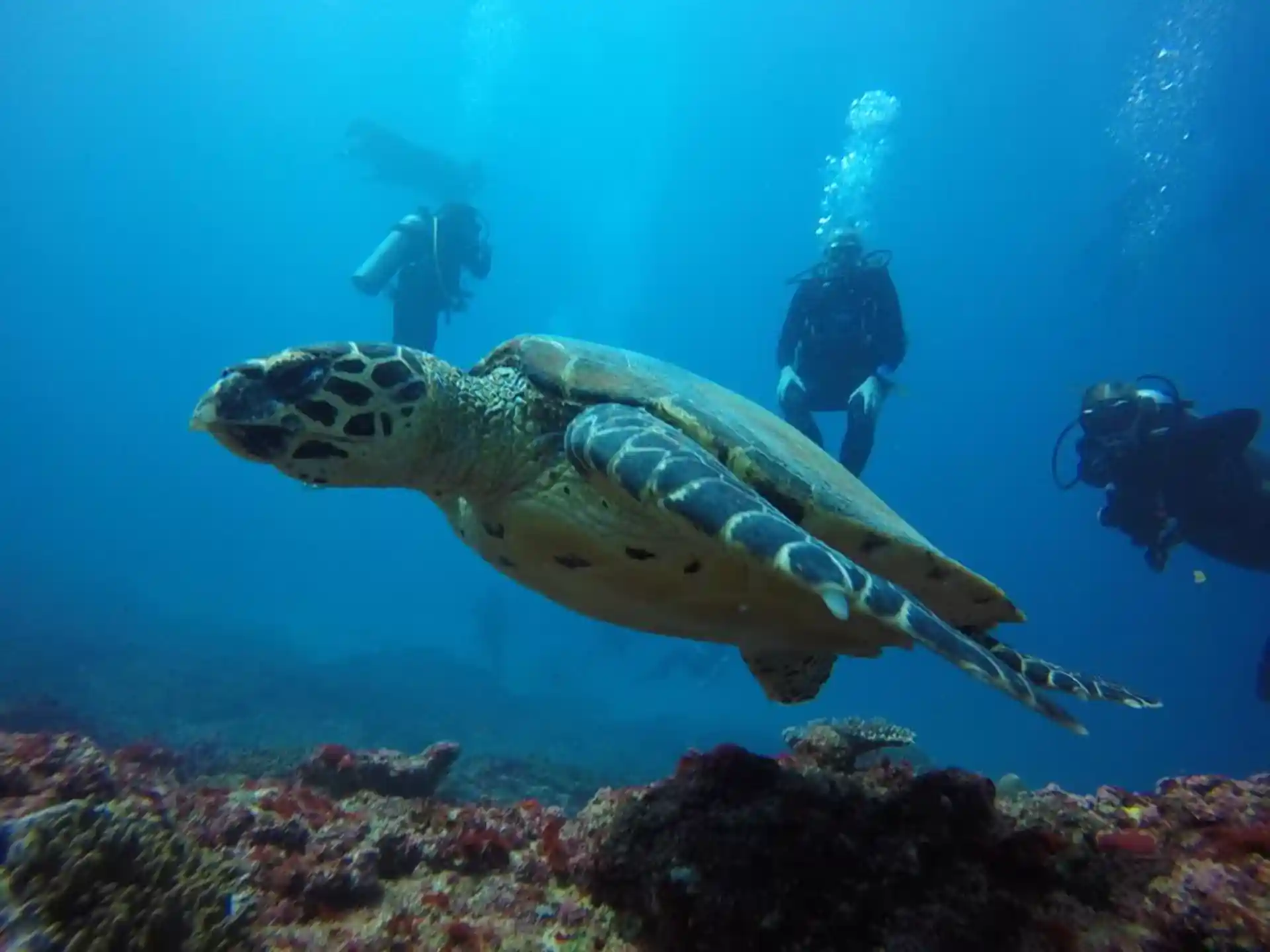 Foto de la actividad