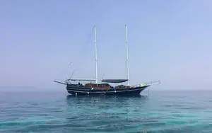 Dive operator picture