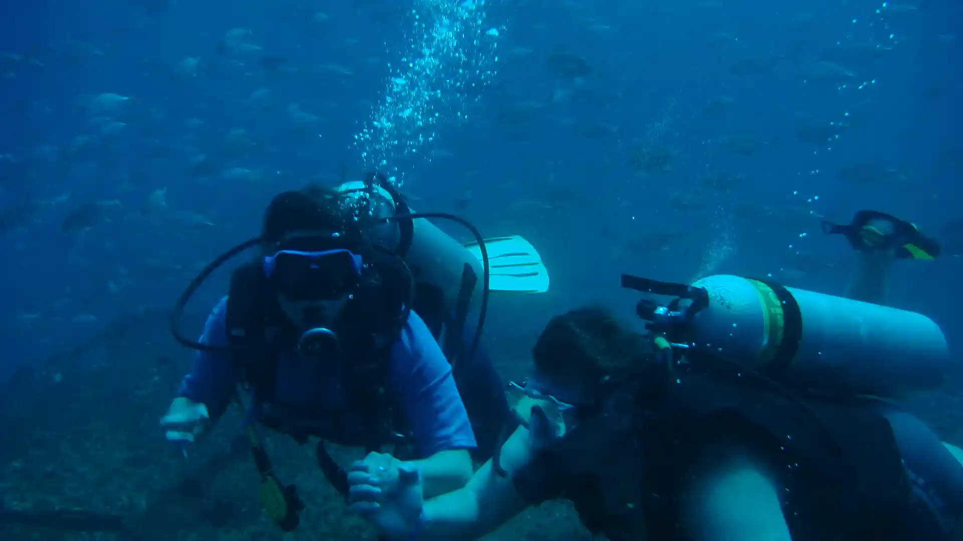 다이빙 포인트 사진