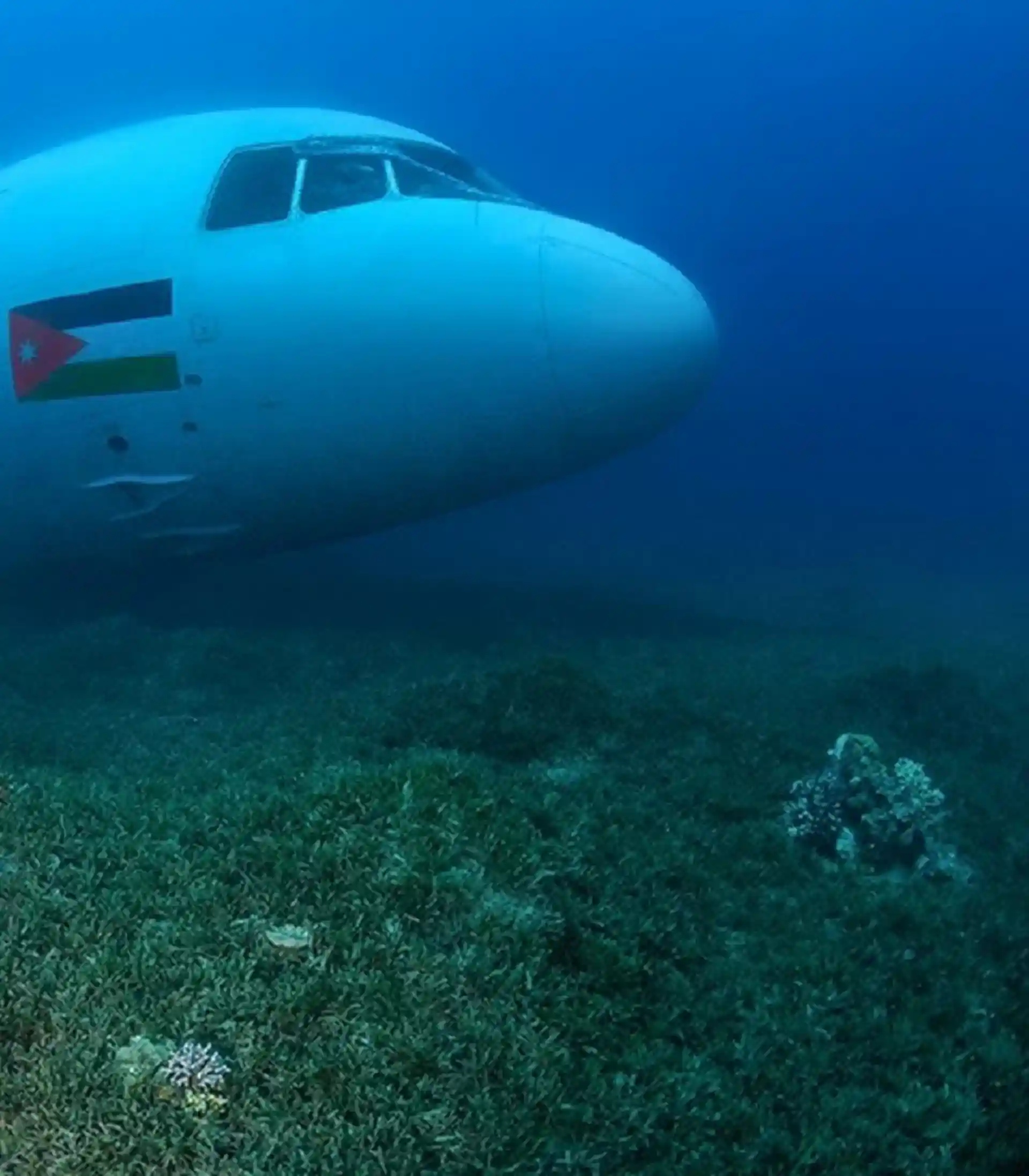Dive site photo
