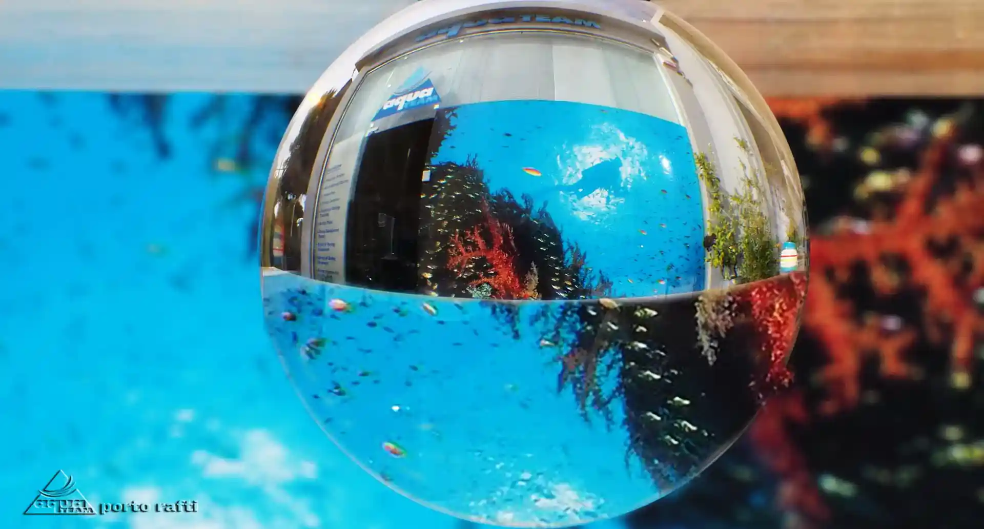 Dive shop photo