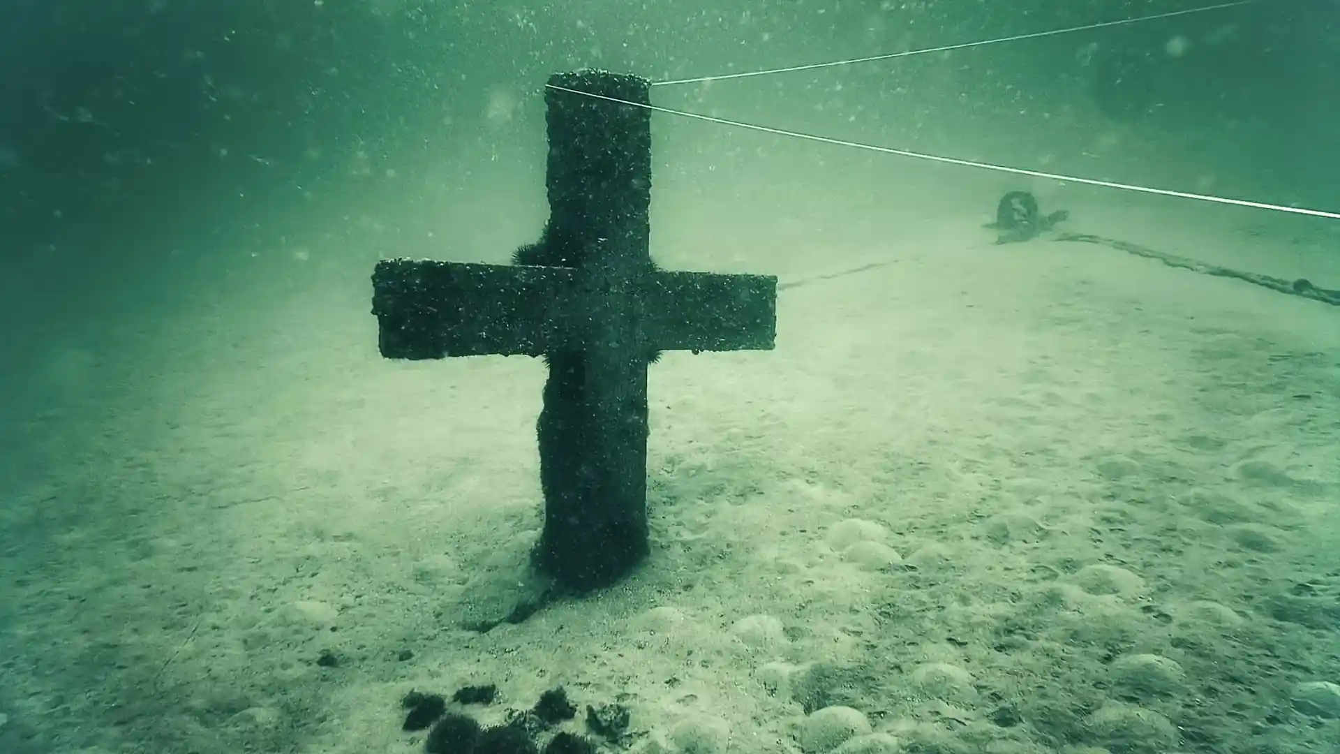 Dive site photo