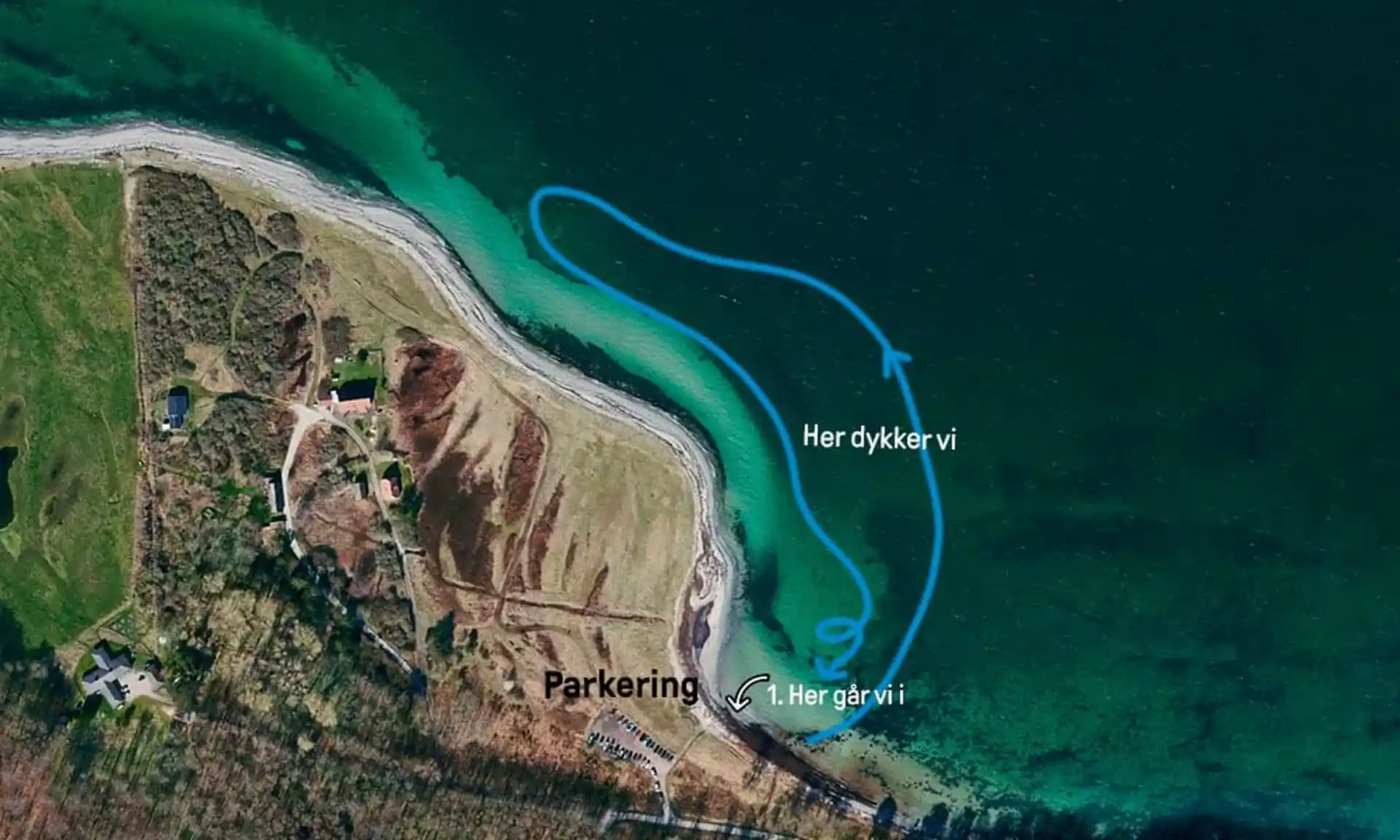 Dive site photo