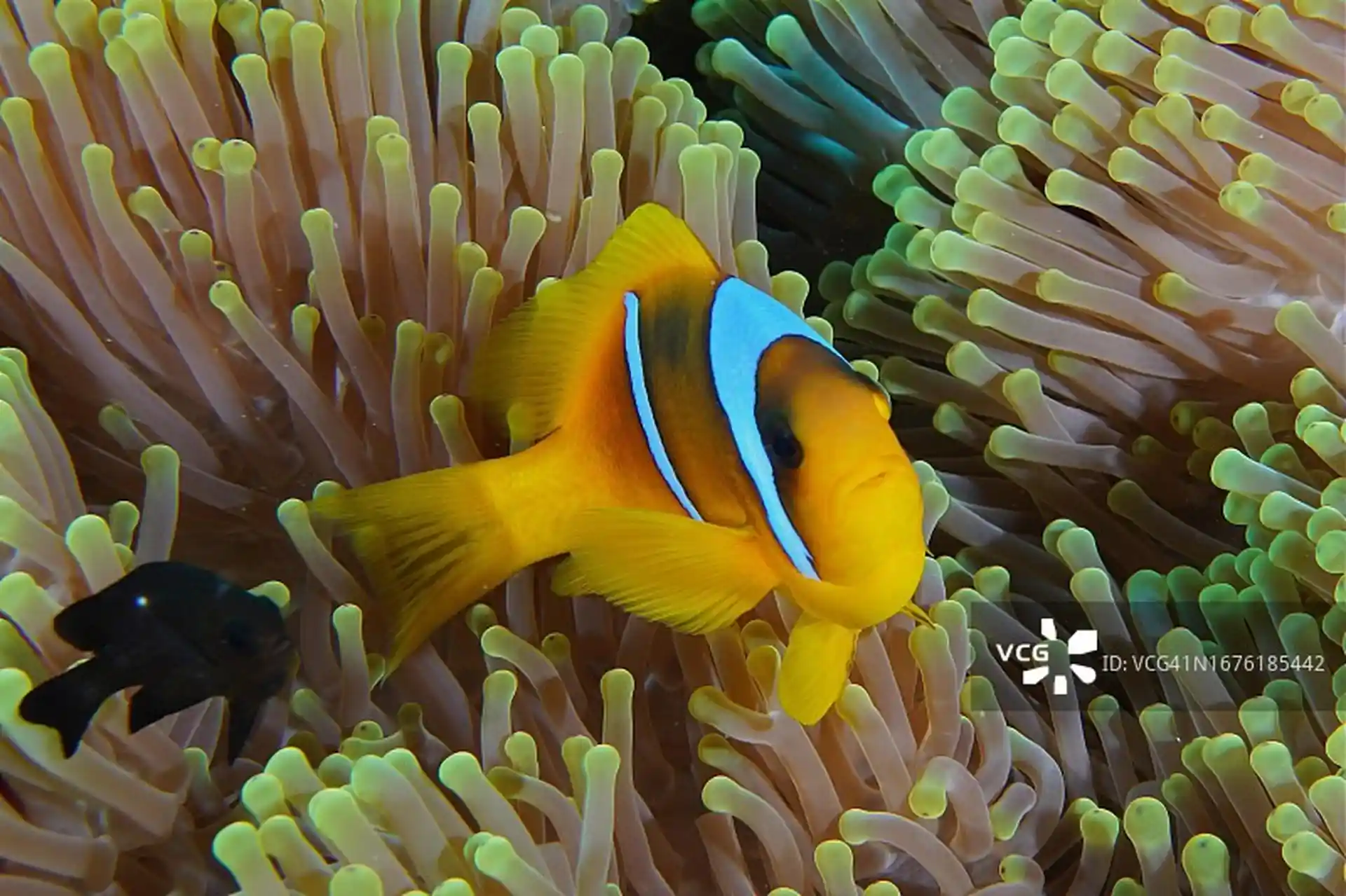 Dive site photo