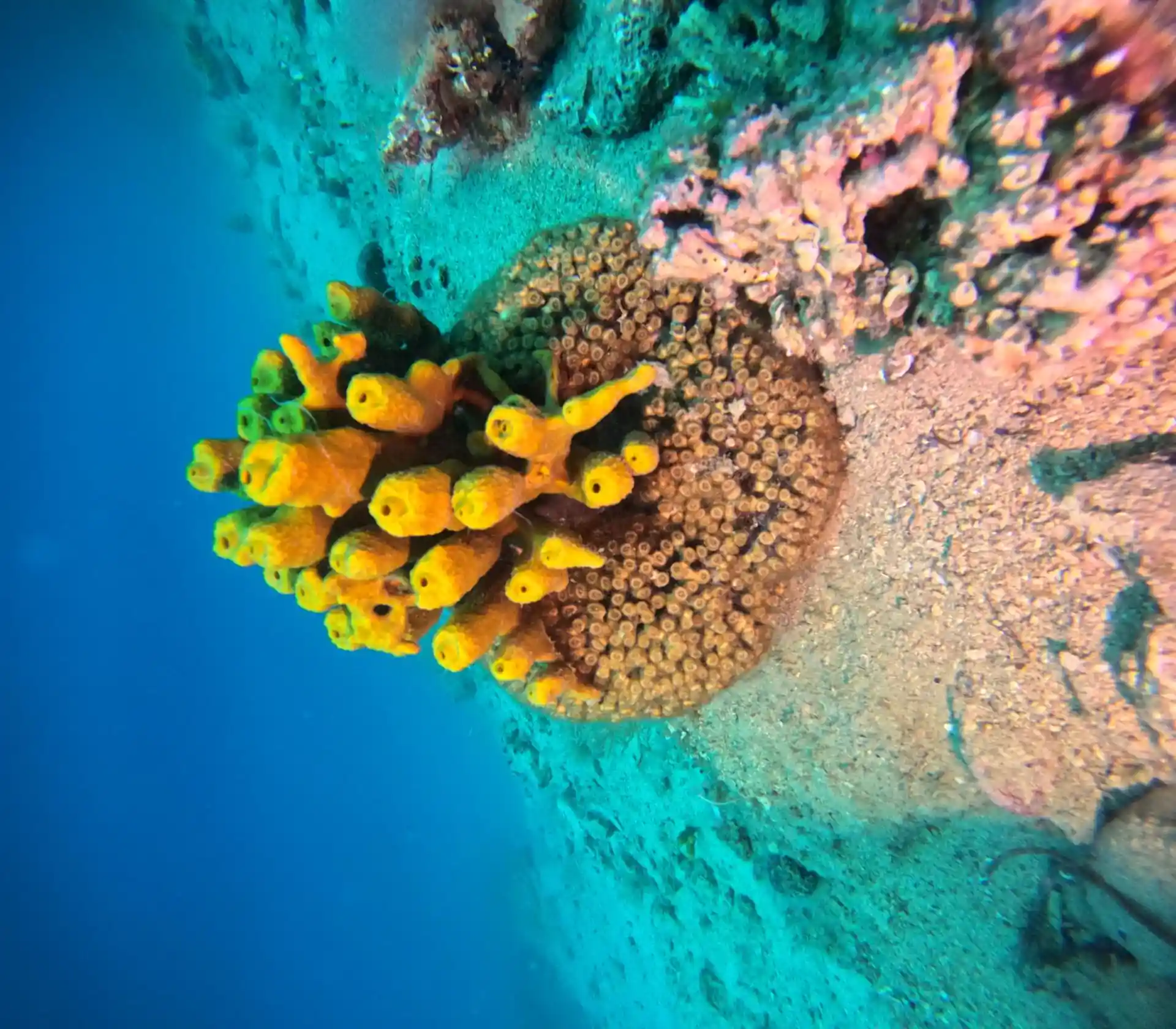 Dive site photo