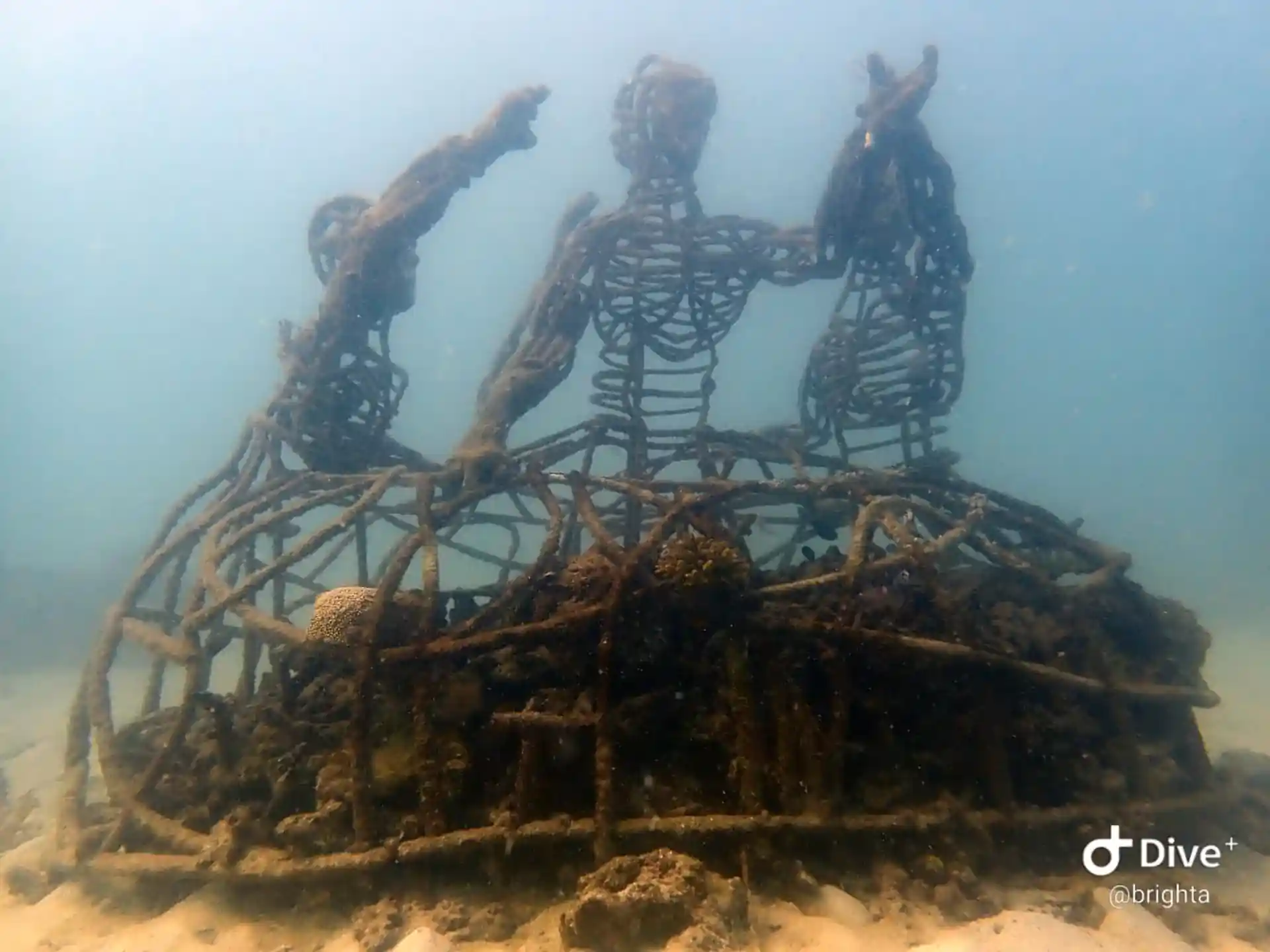 다이빙 포인트 사진