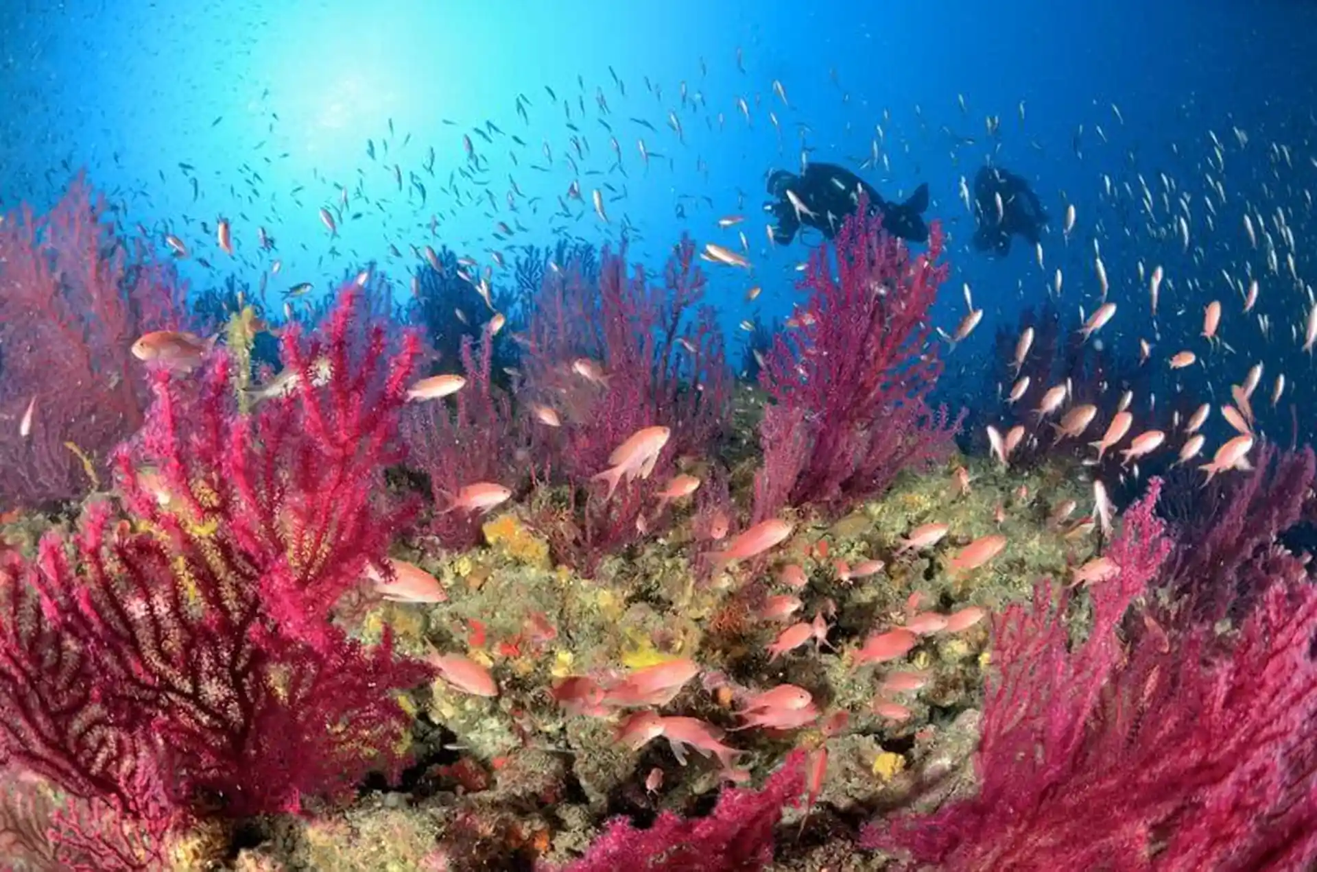 Foto des Tauchplatzes