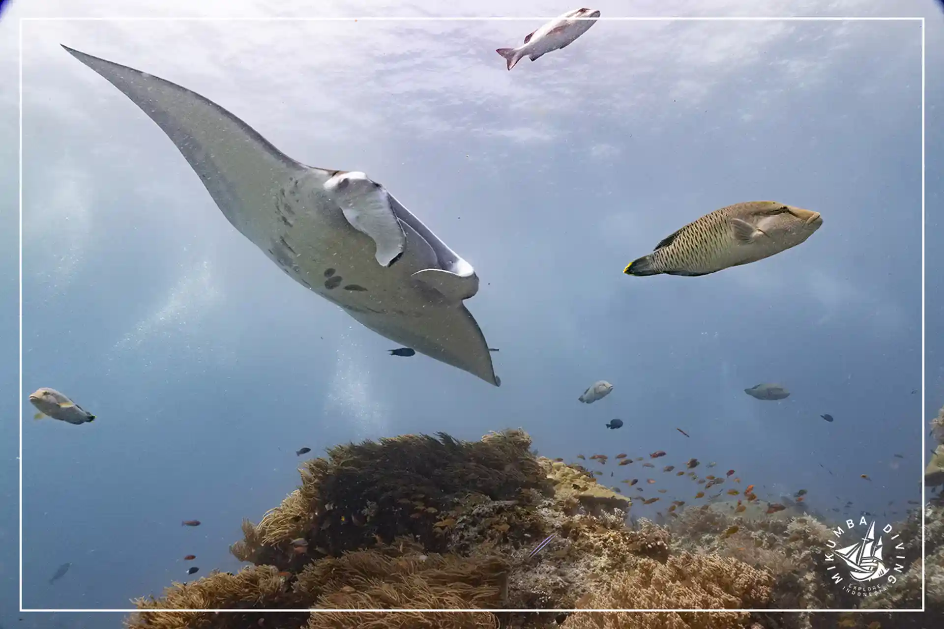 Photo de l'activité