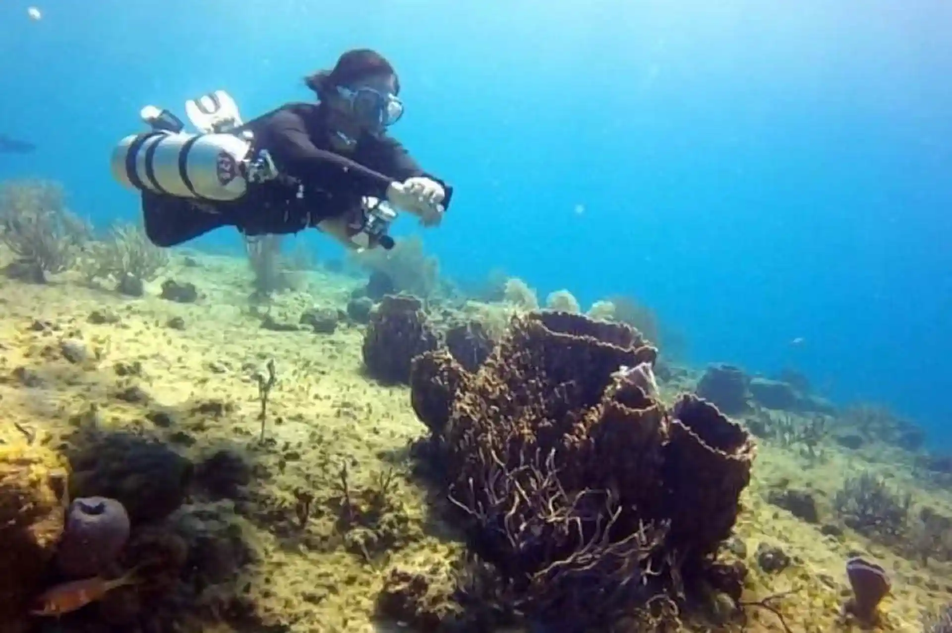 Dive site photo