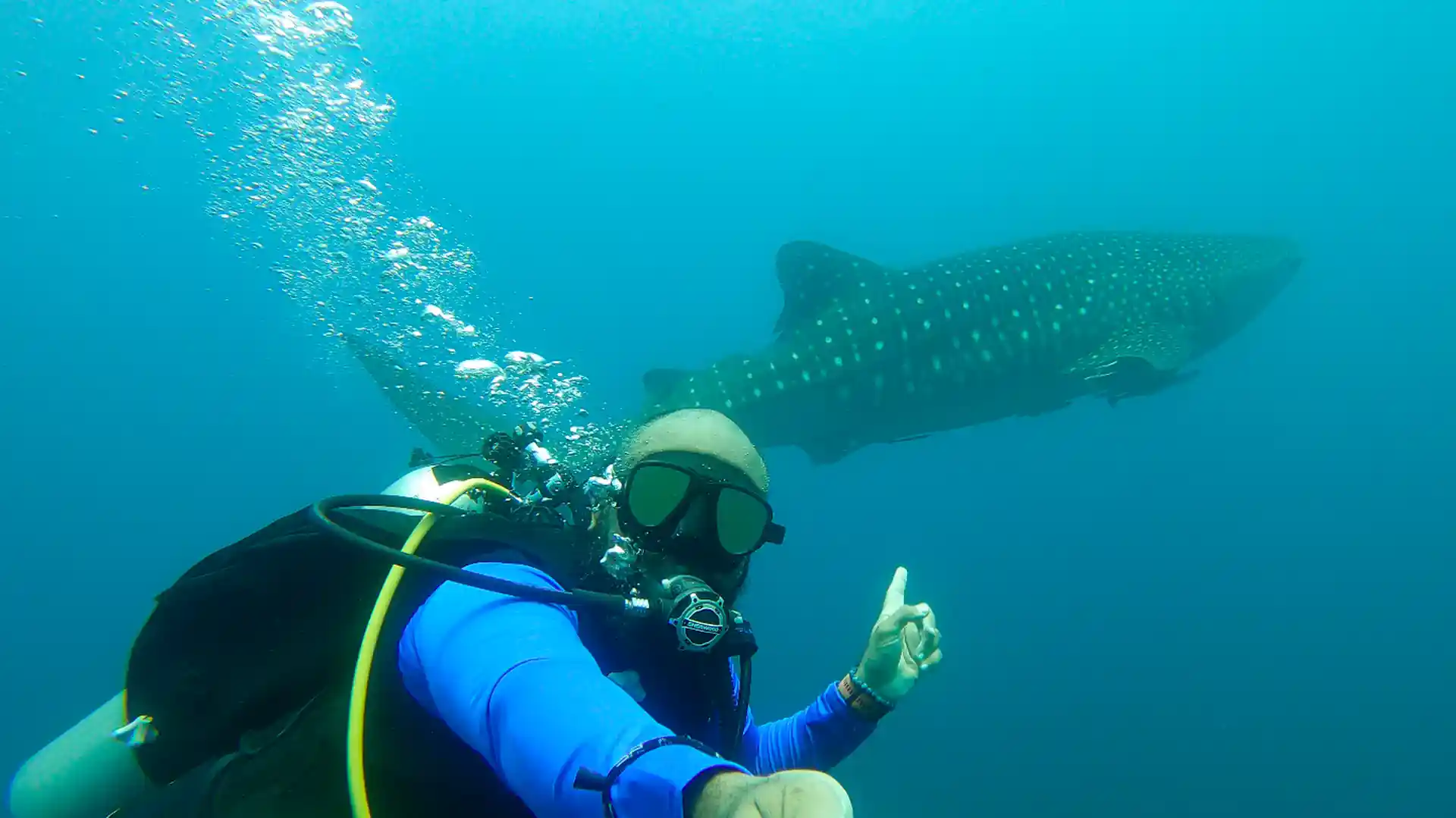 Photo du magasin de plongée