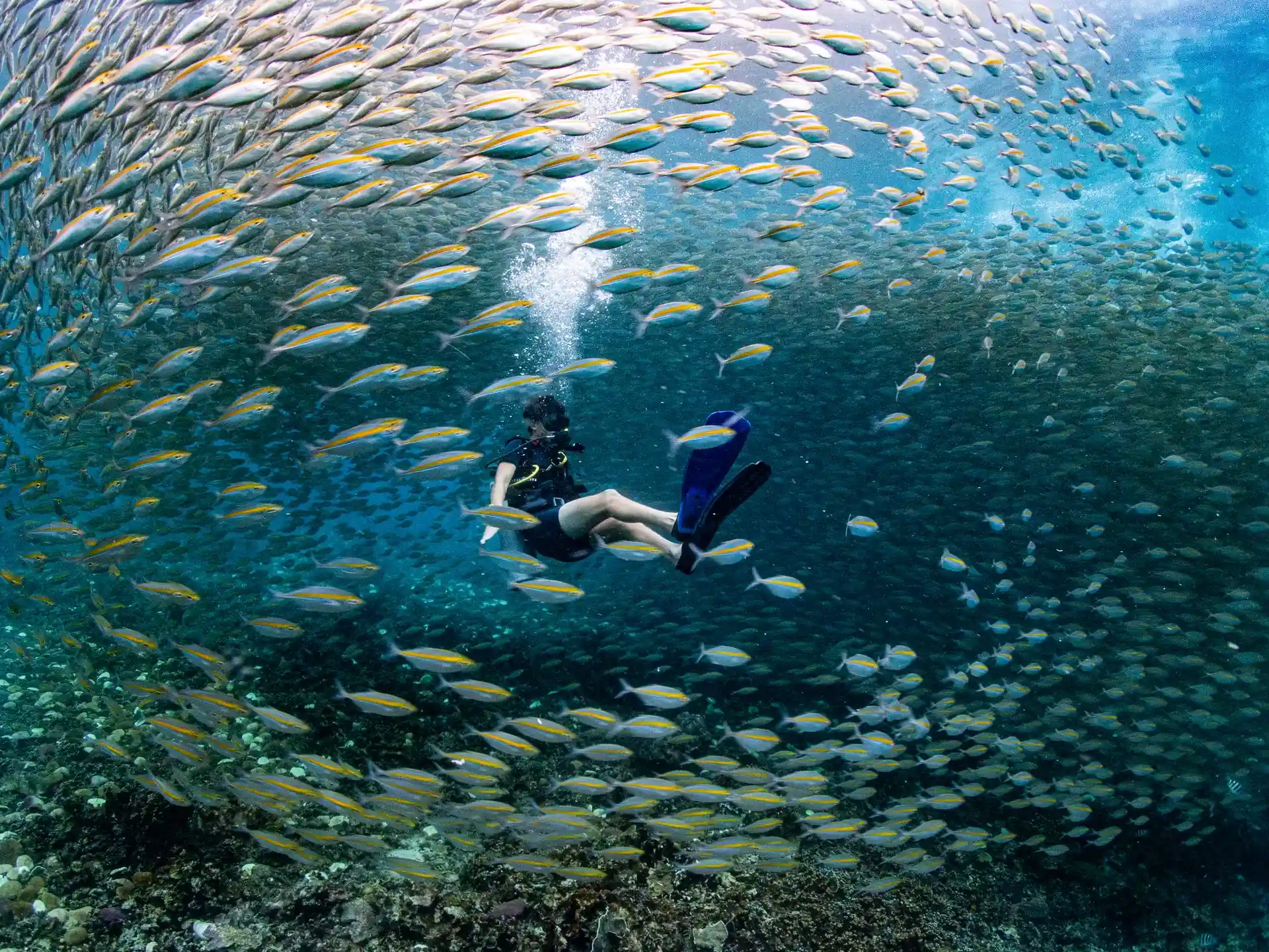 다이빙 포인트 사진