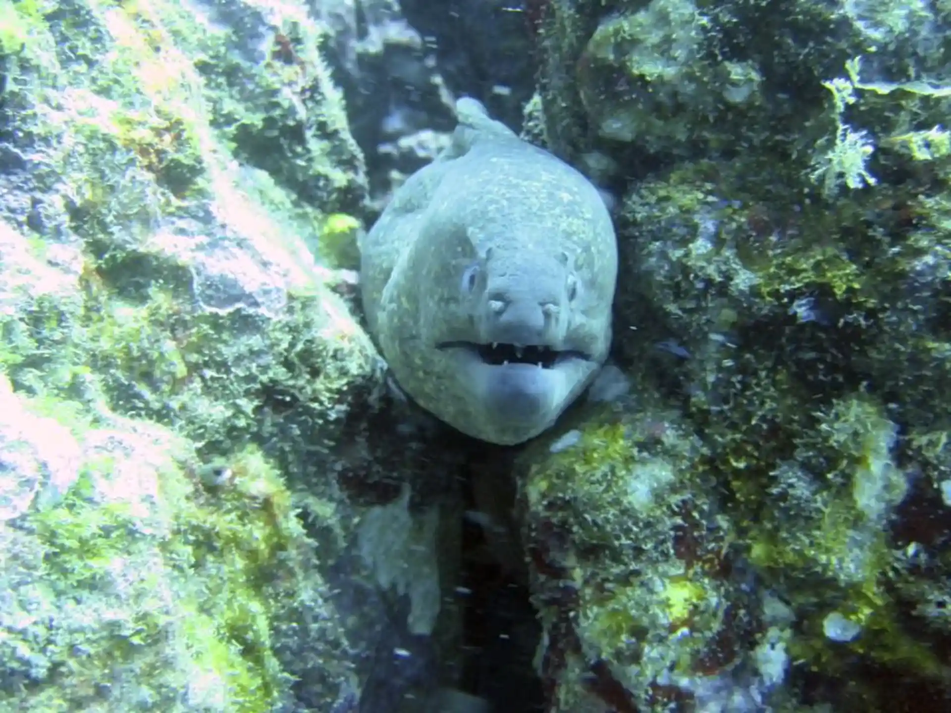 Dive site photo