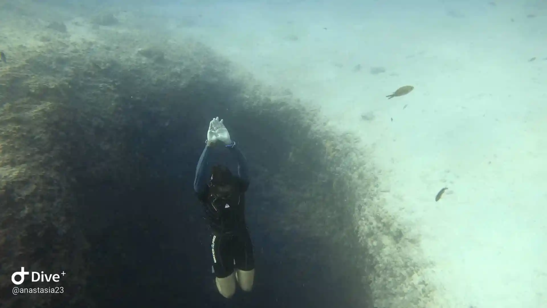 Dive site photo