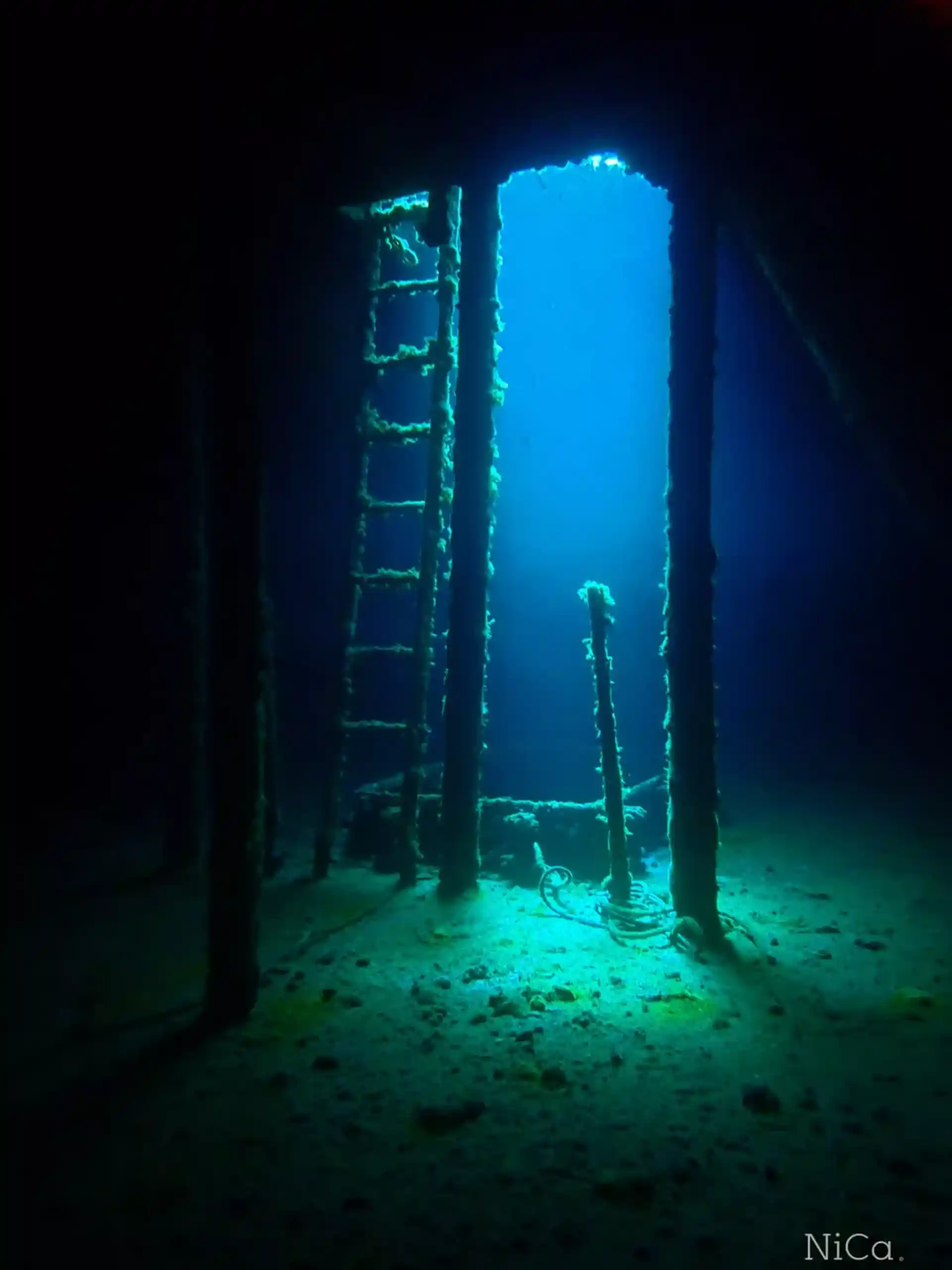 ダイビングサイトの写真