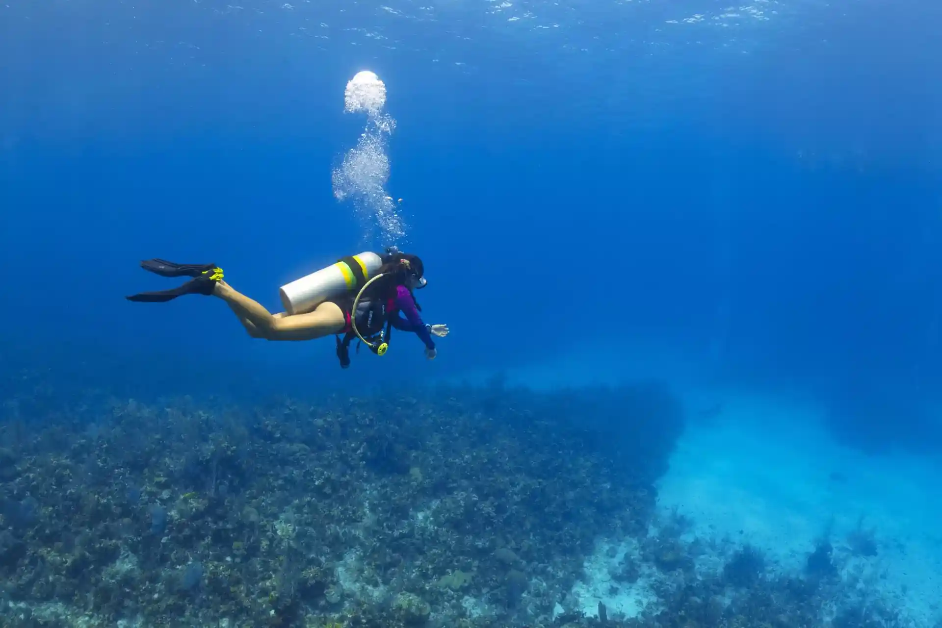Dive site photo
