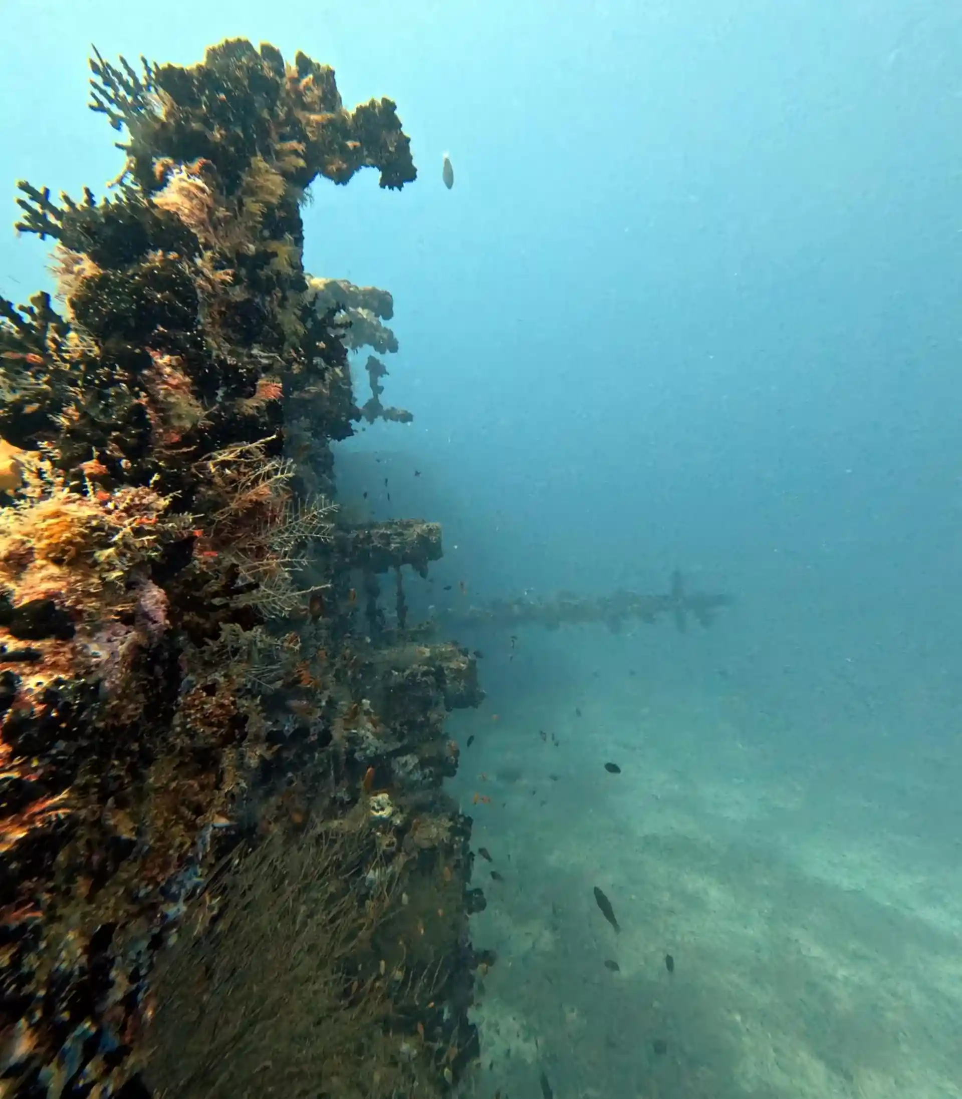Dive site photo