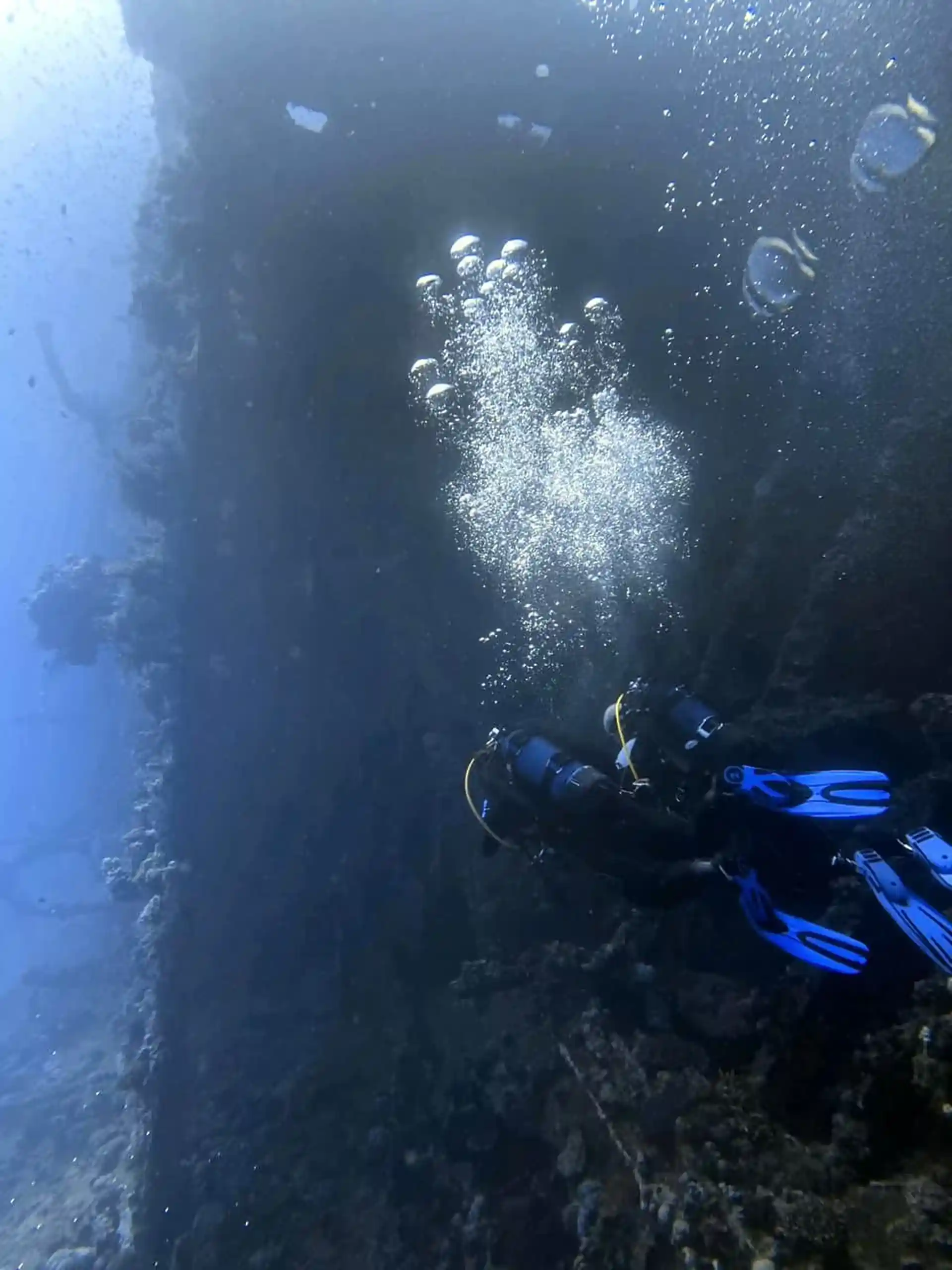 Dive shop photo