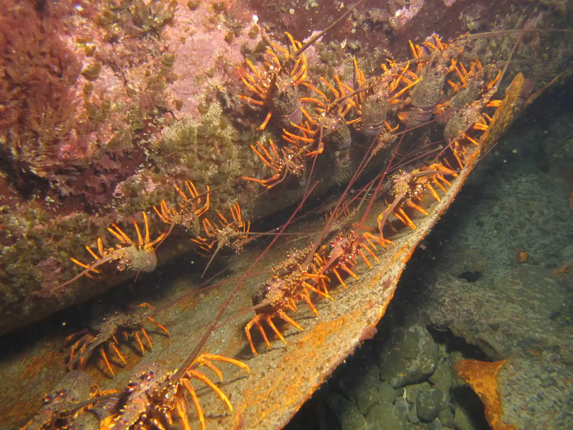 Dive site photo