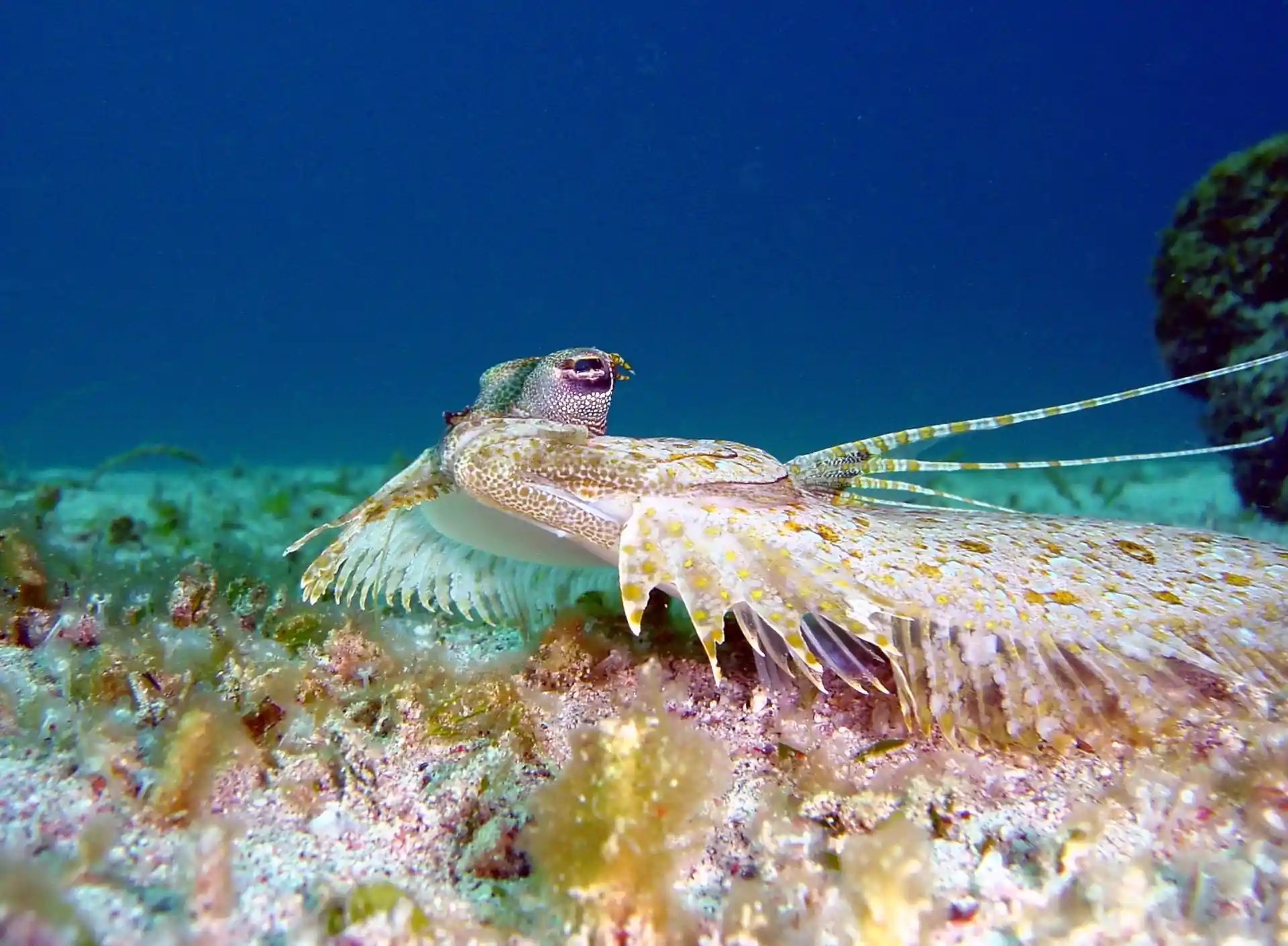 Dive site photo
