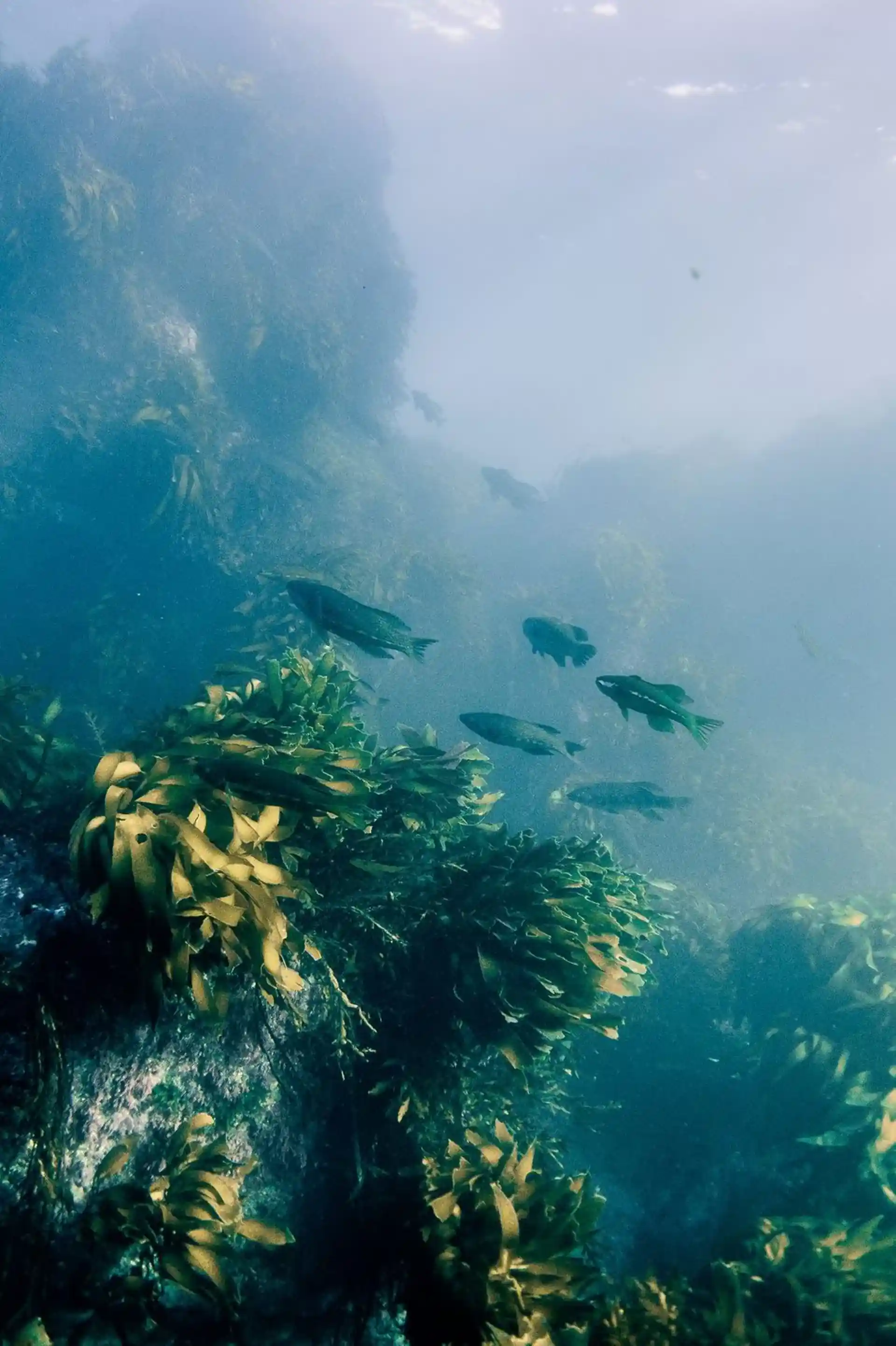 Dive shop photo