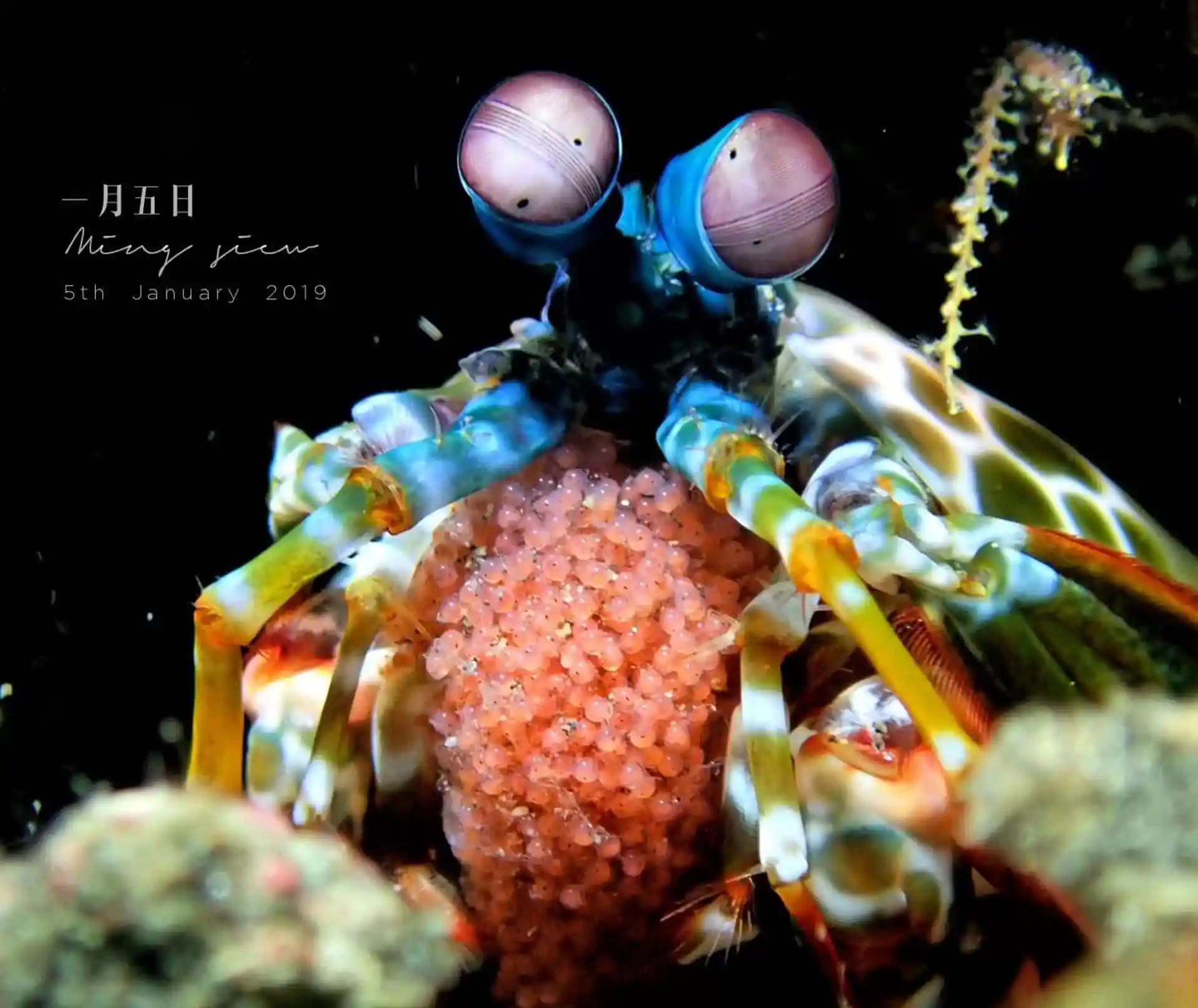 Dive shop photo